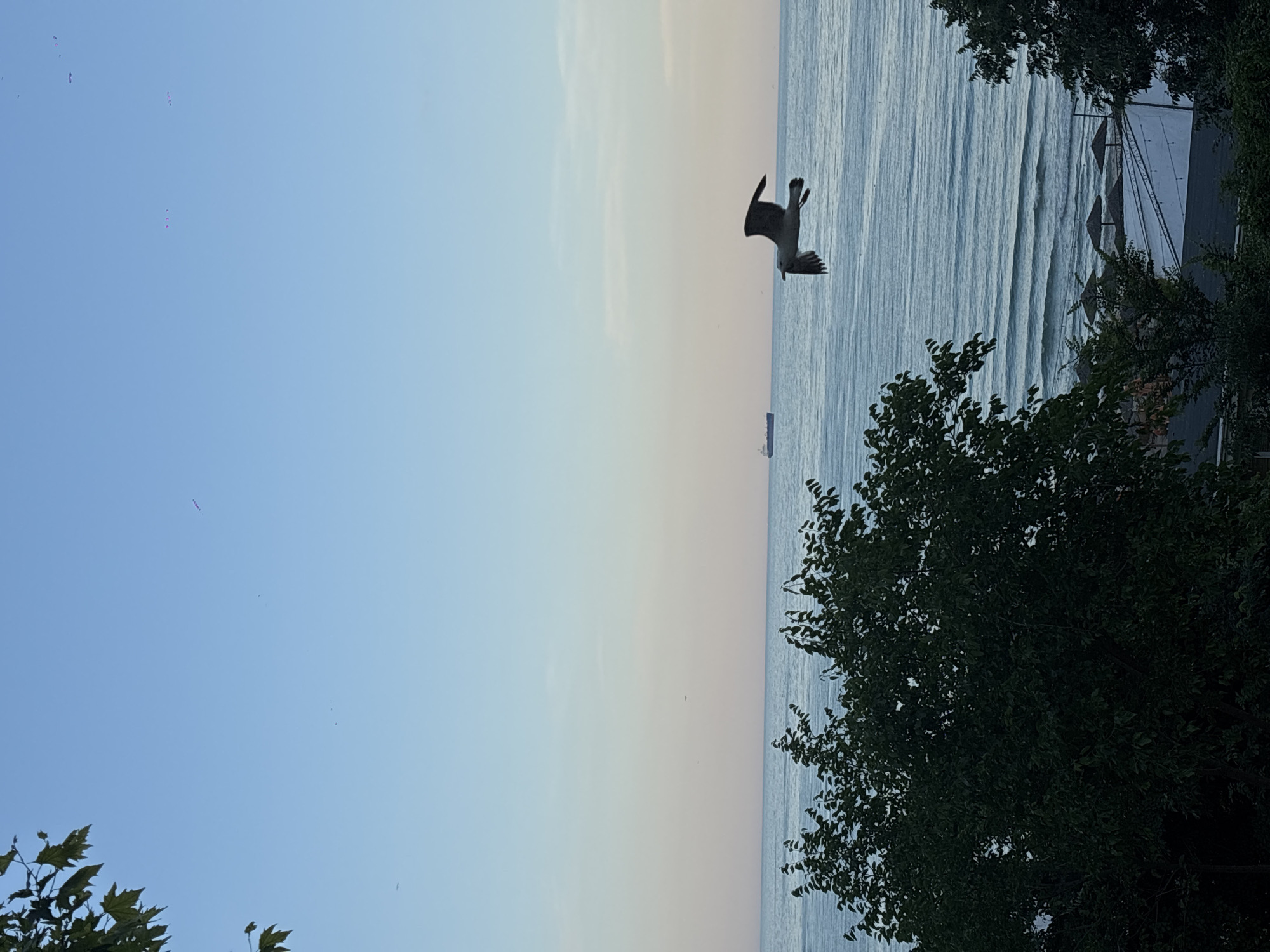 Dusk to night along Varna's beach bar strip