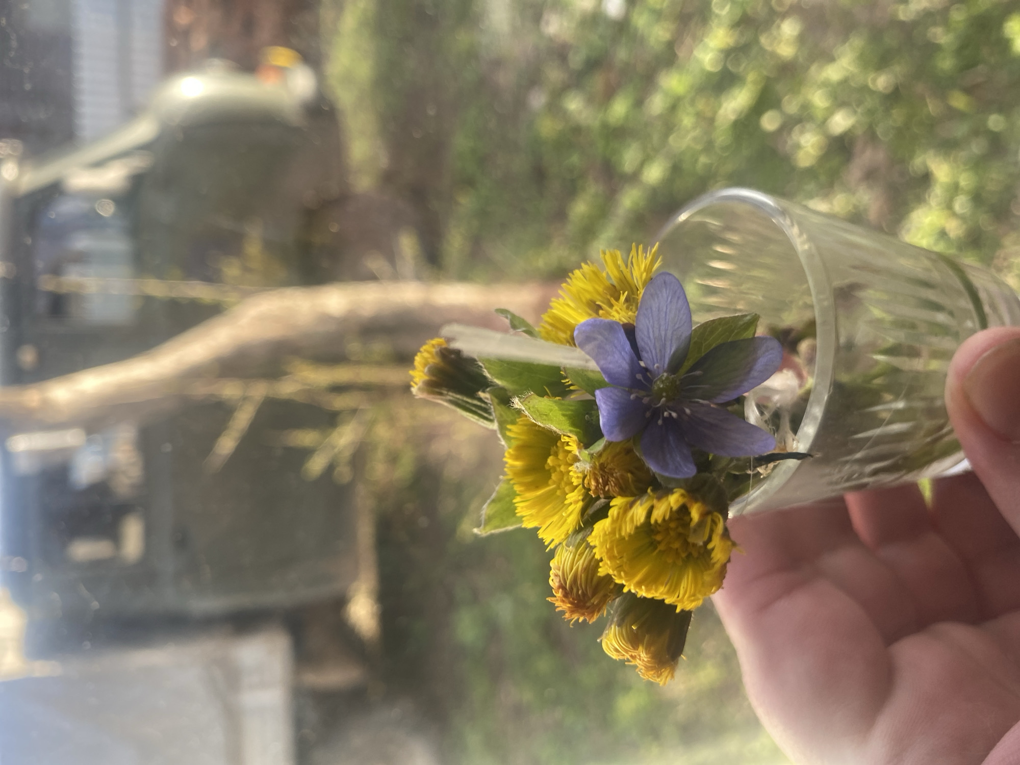 Casual afternoon documented in rural Russia through personal photographs