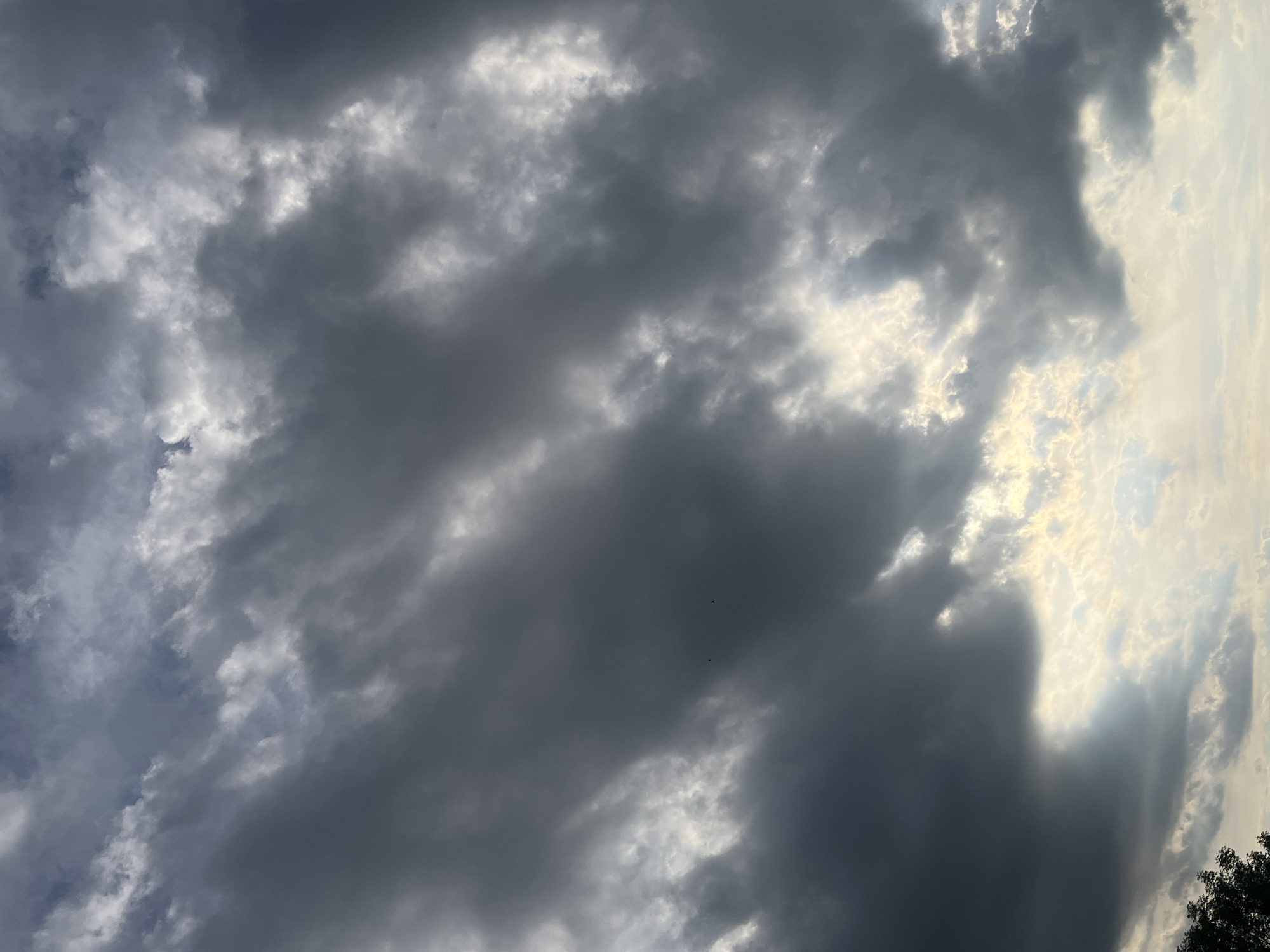 Urban sky-watching session documents changing clouds over city landscape