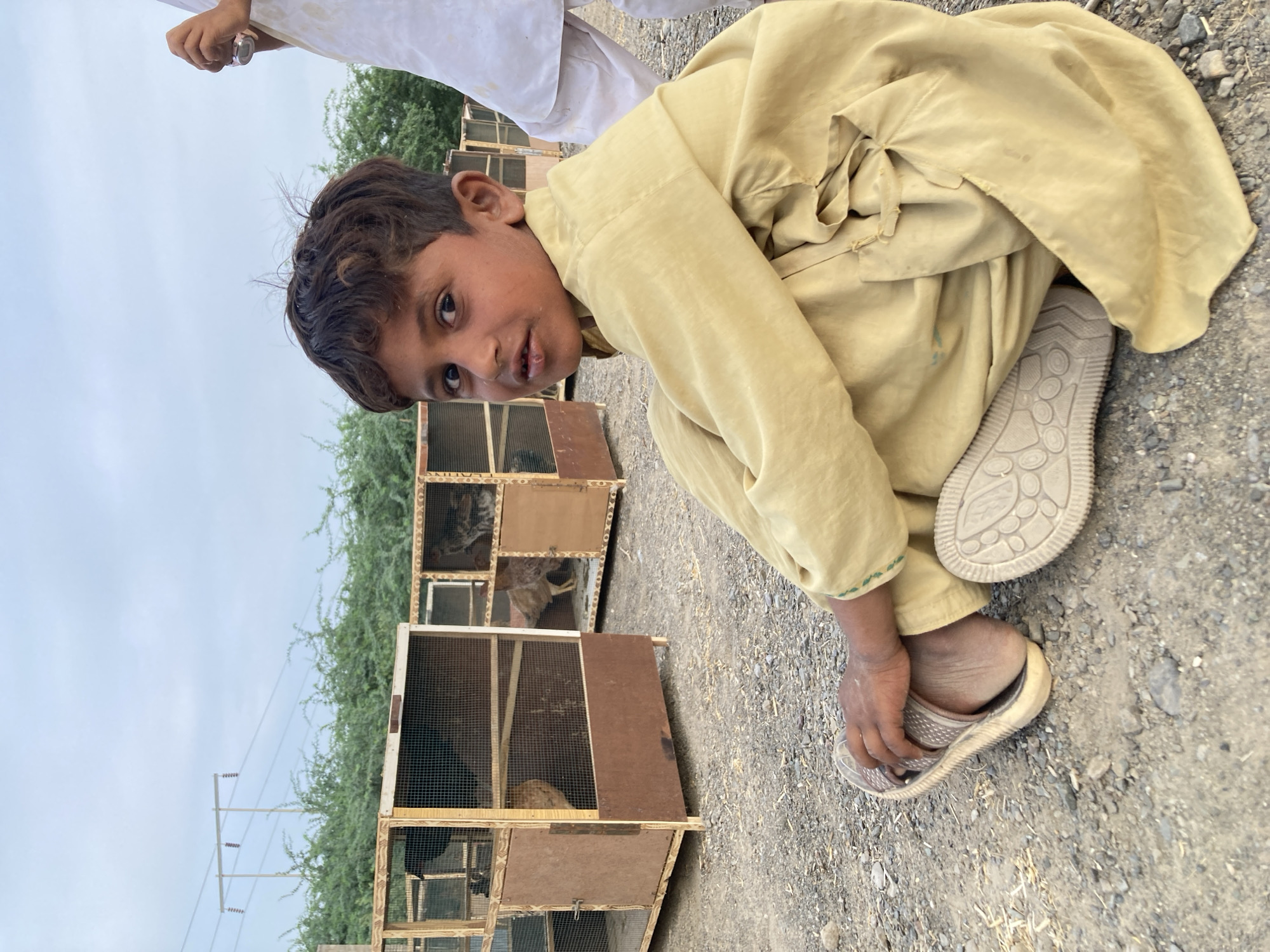 Poultry market operates in rural Wayāro, Pakistan