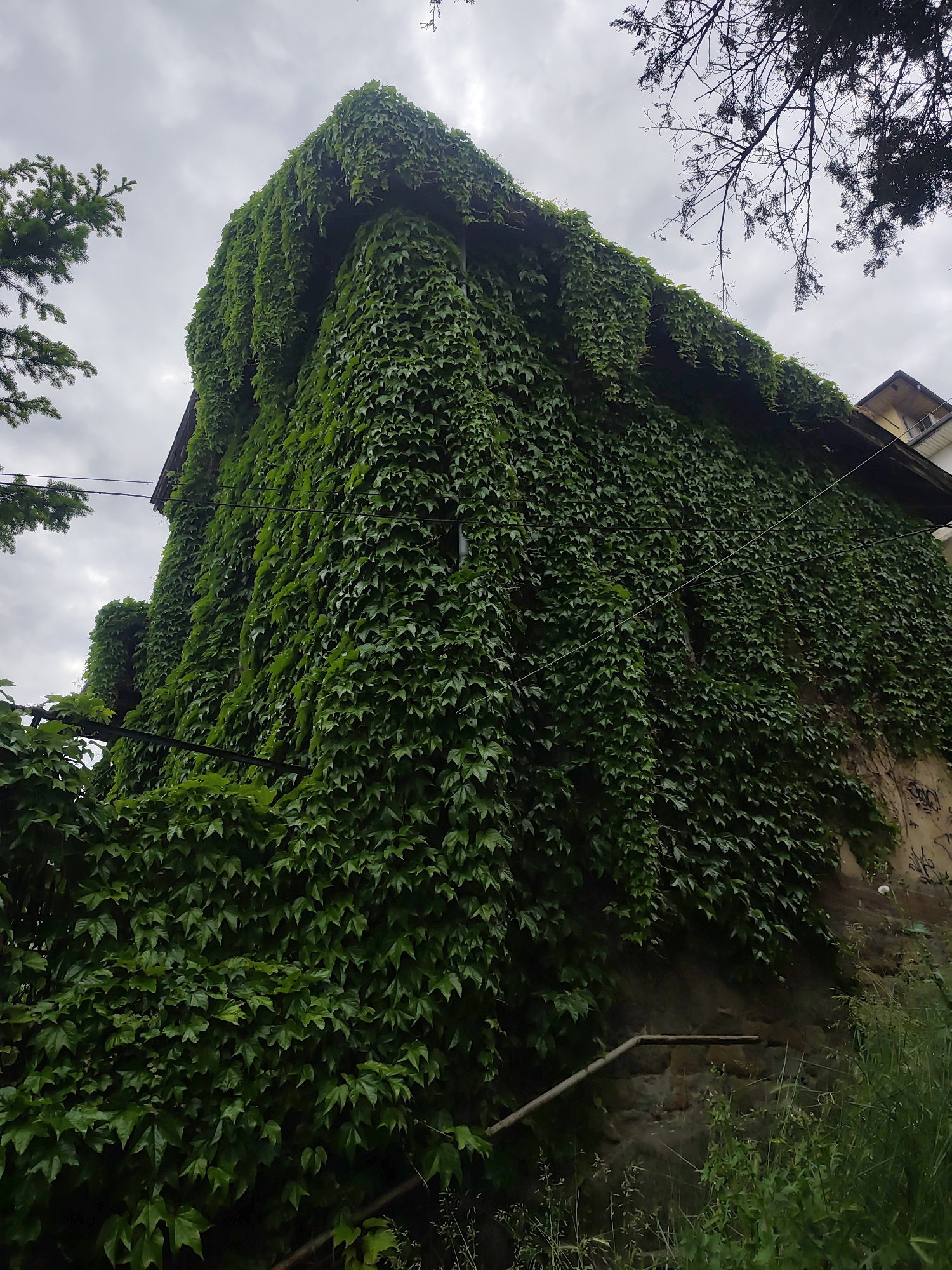 European town daily life documented through 14 casual observations