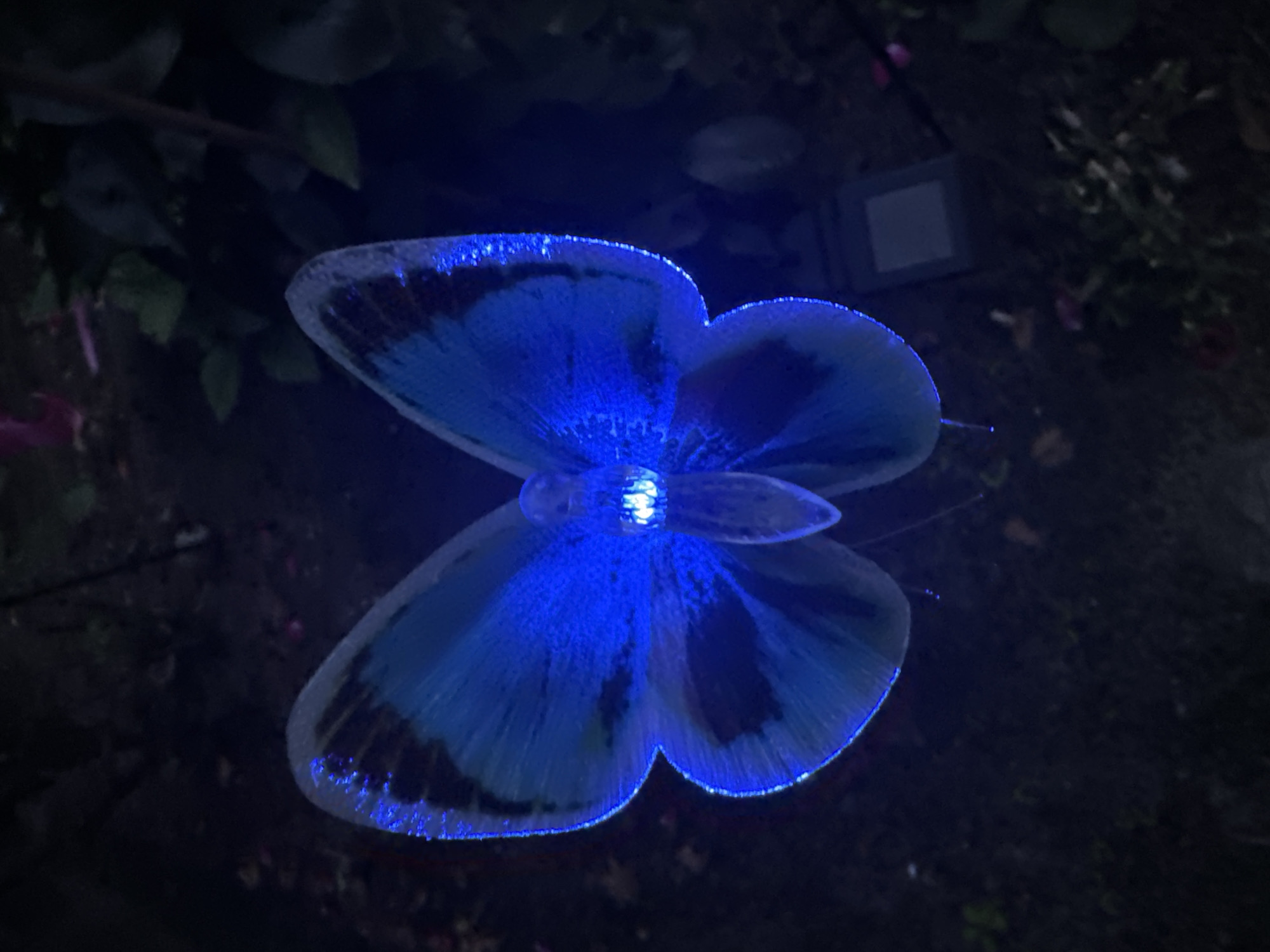 Solar-powered garden lights glow across a Steenwijk yard at dusk