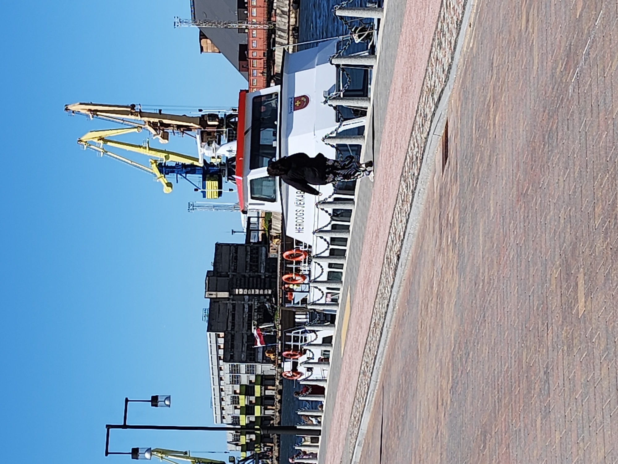 Waterfront art installations and harbor scenes documented by witness