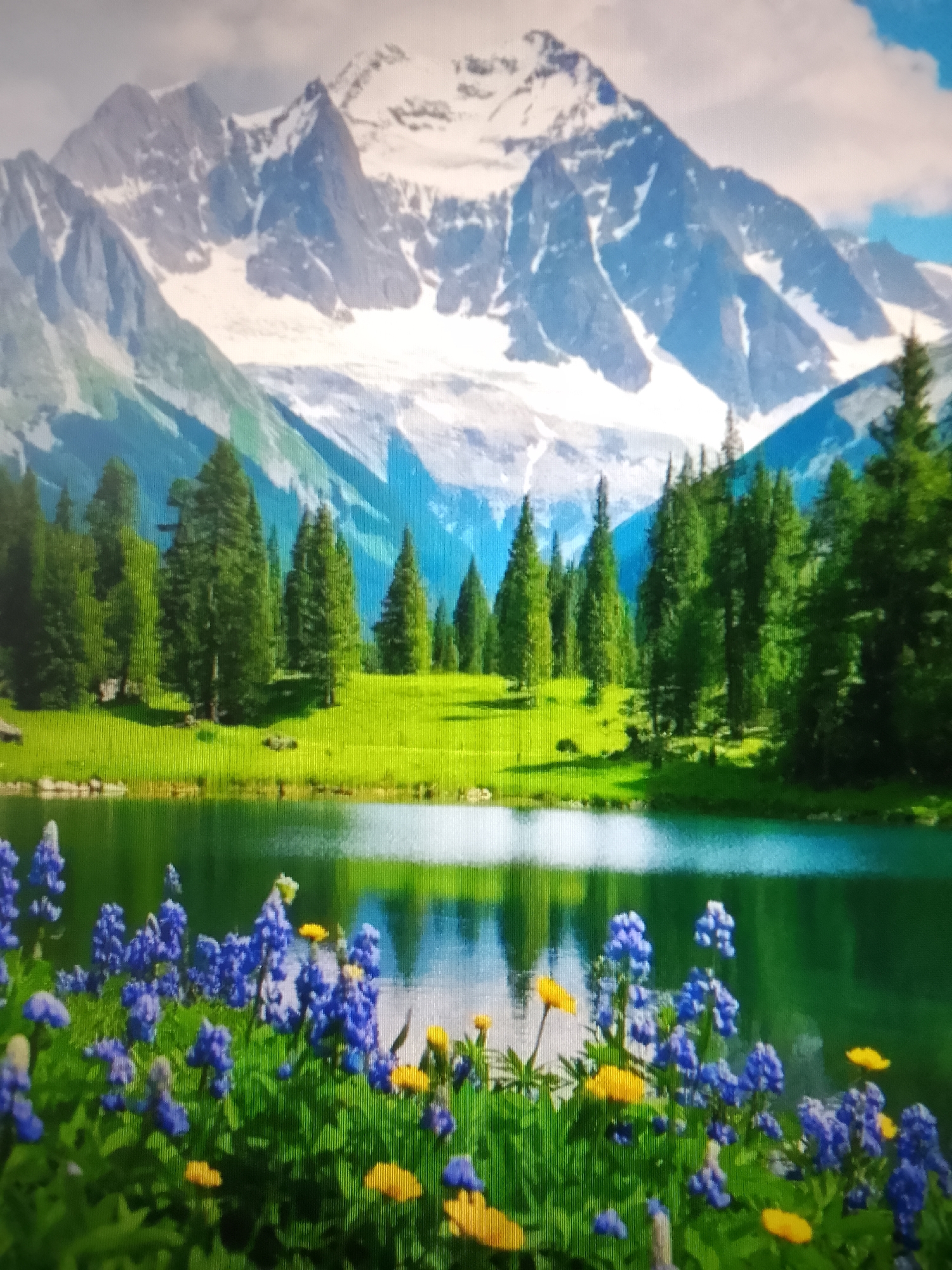 Nature scenes and wildlife, from wildflowers to mountain sunsets