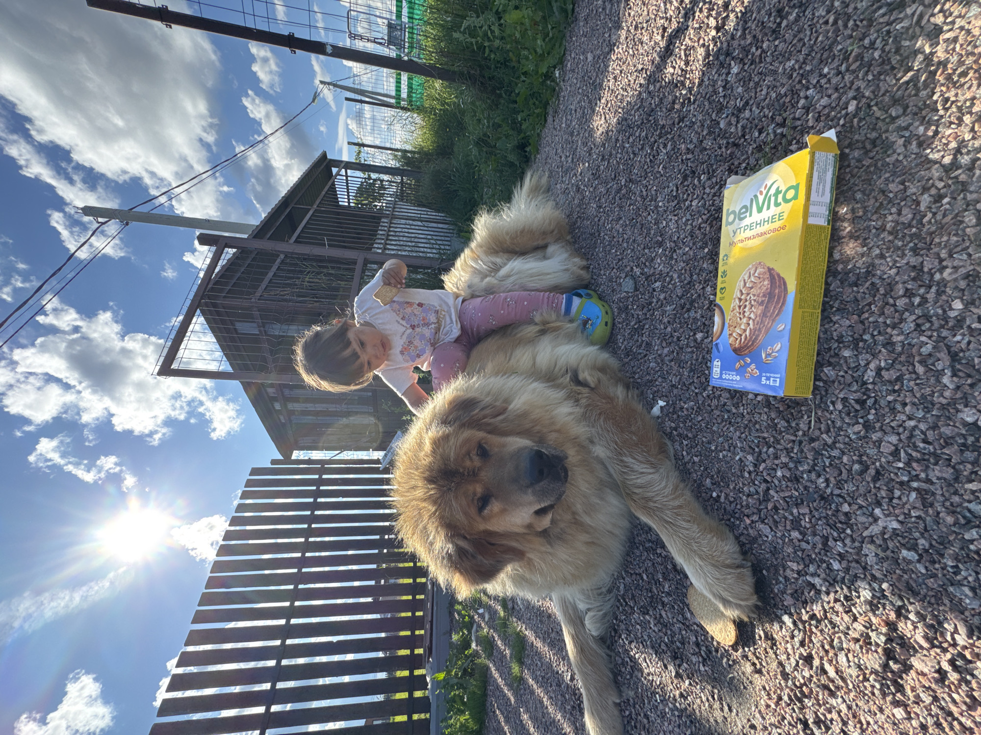 Toddler and big fluffy dog share a lazy afternoon in Kempelevo