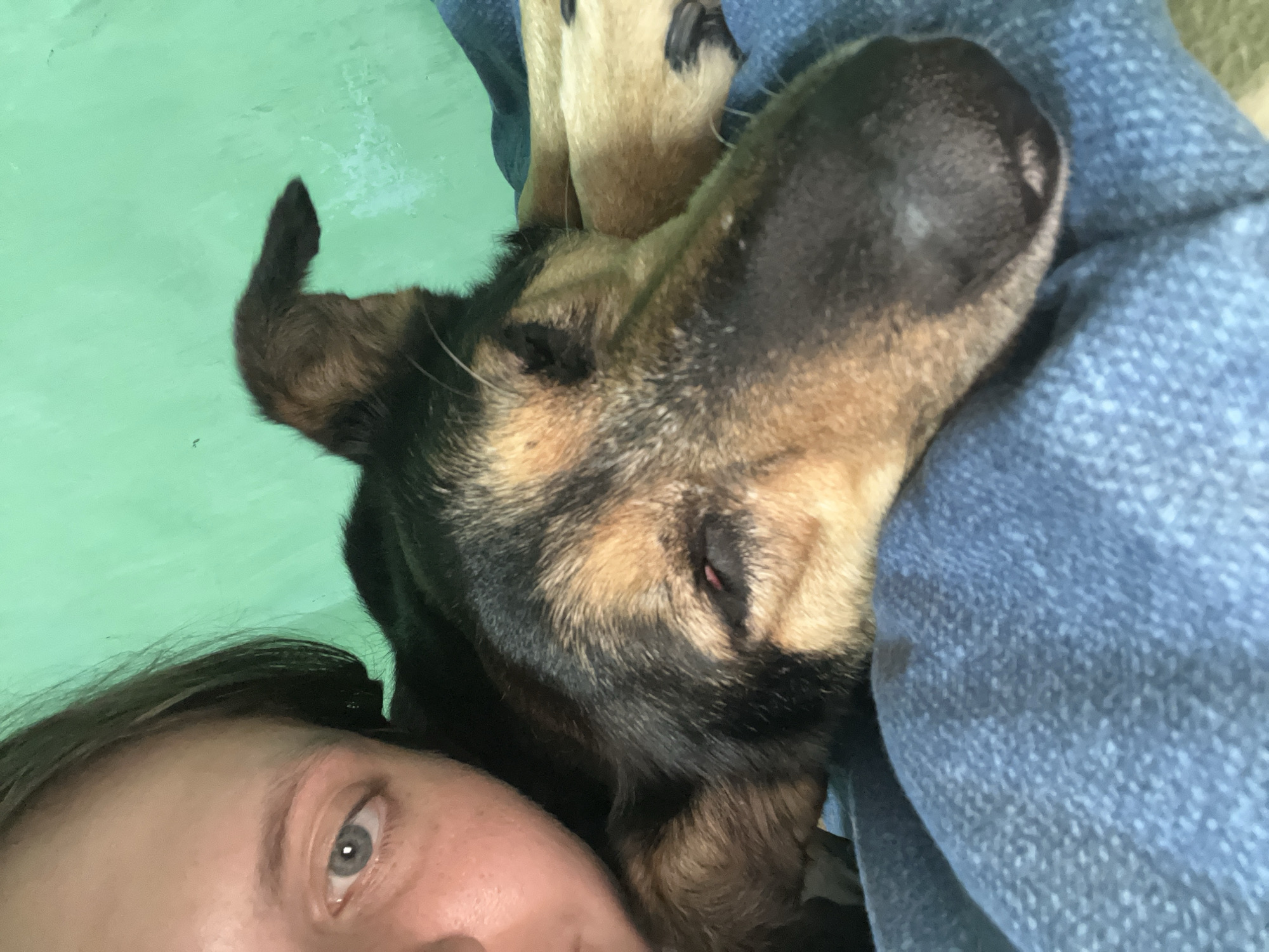 Nizhny Tagil resident documents pets, cooking, daily home life