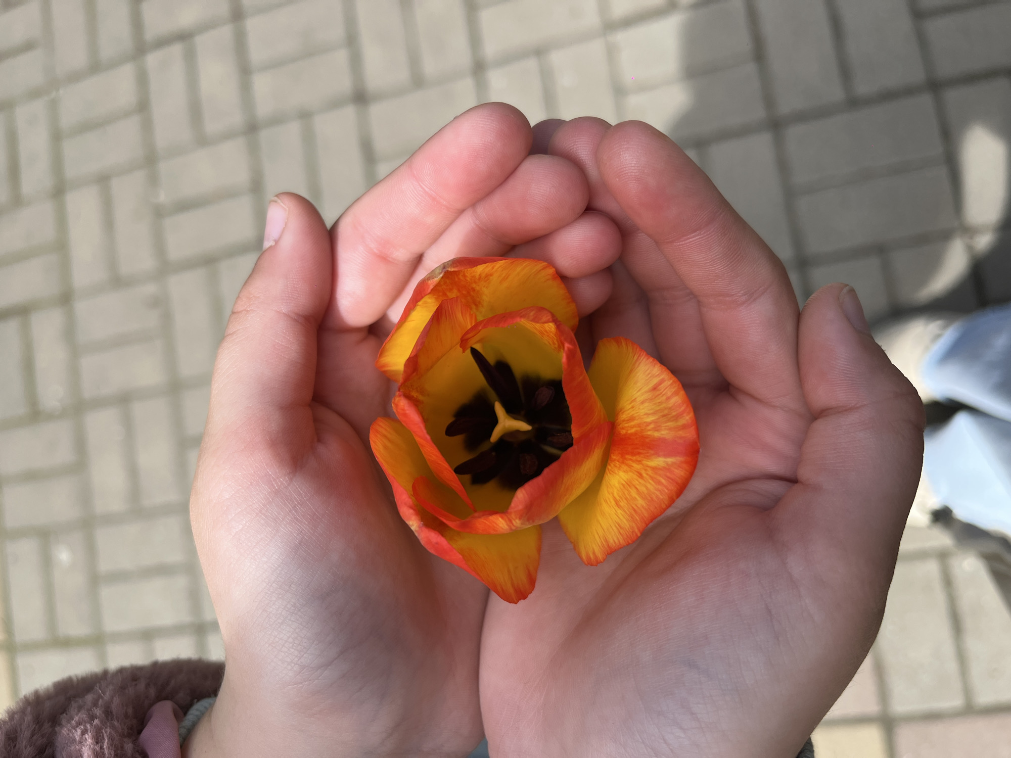 Spring morning moments captured in Novopokrovskaya: selfies, blooming flowers, baby stroll