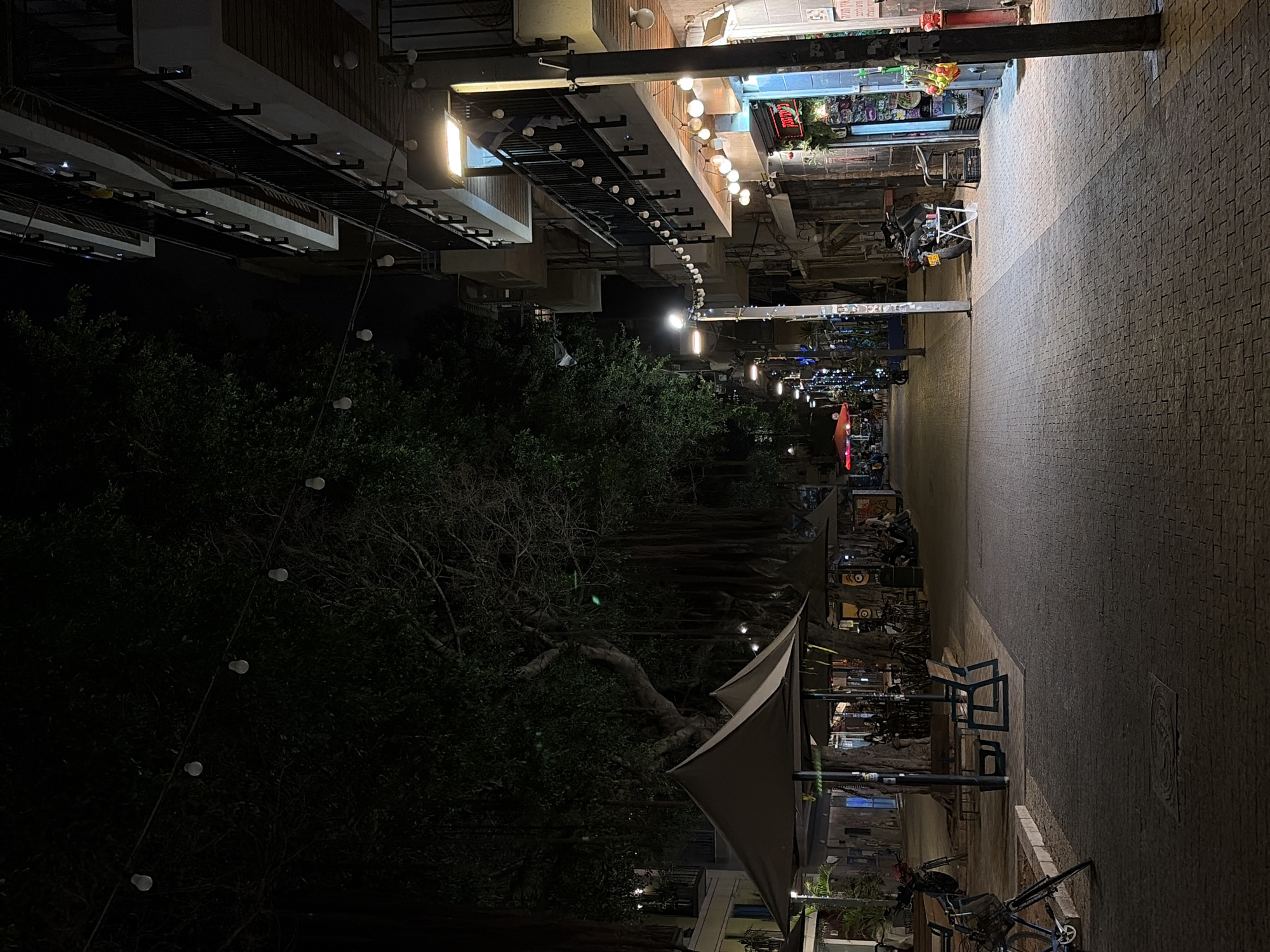 Nighttime street scene captured in Tel Aviv with benches, bicycles