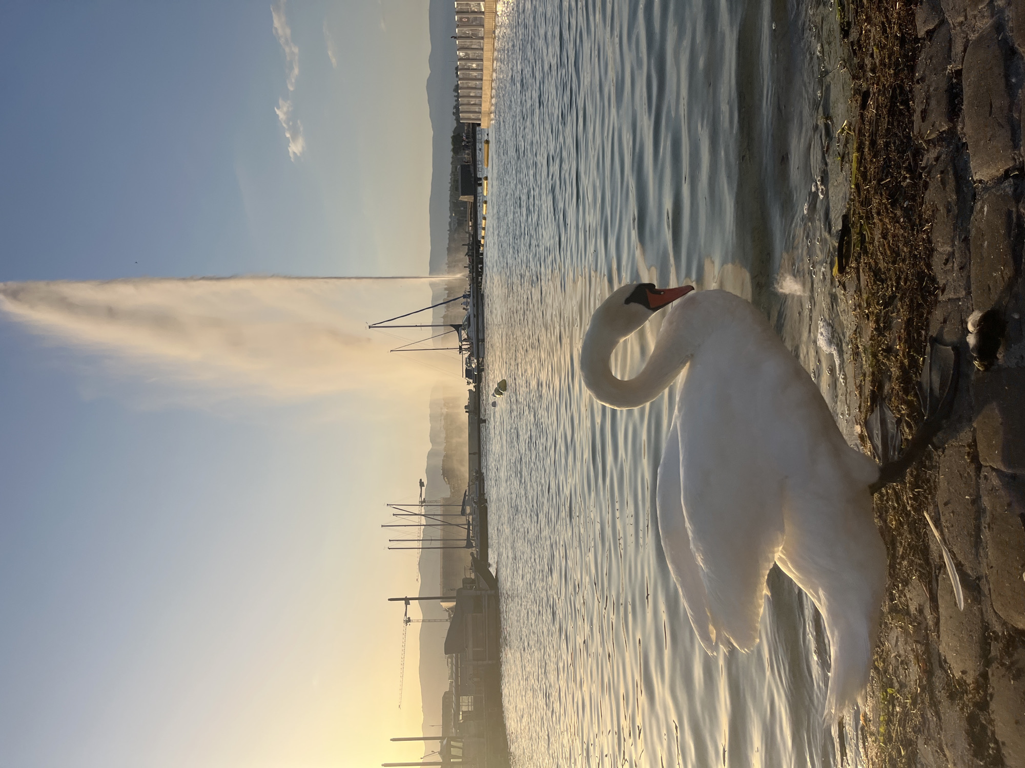 Geneva's Jet d'Eau at golden hour, summer solstice