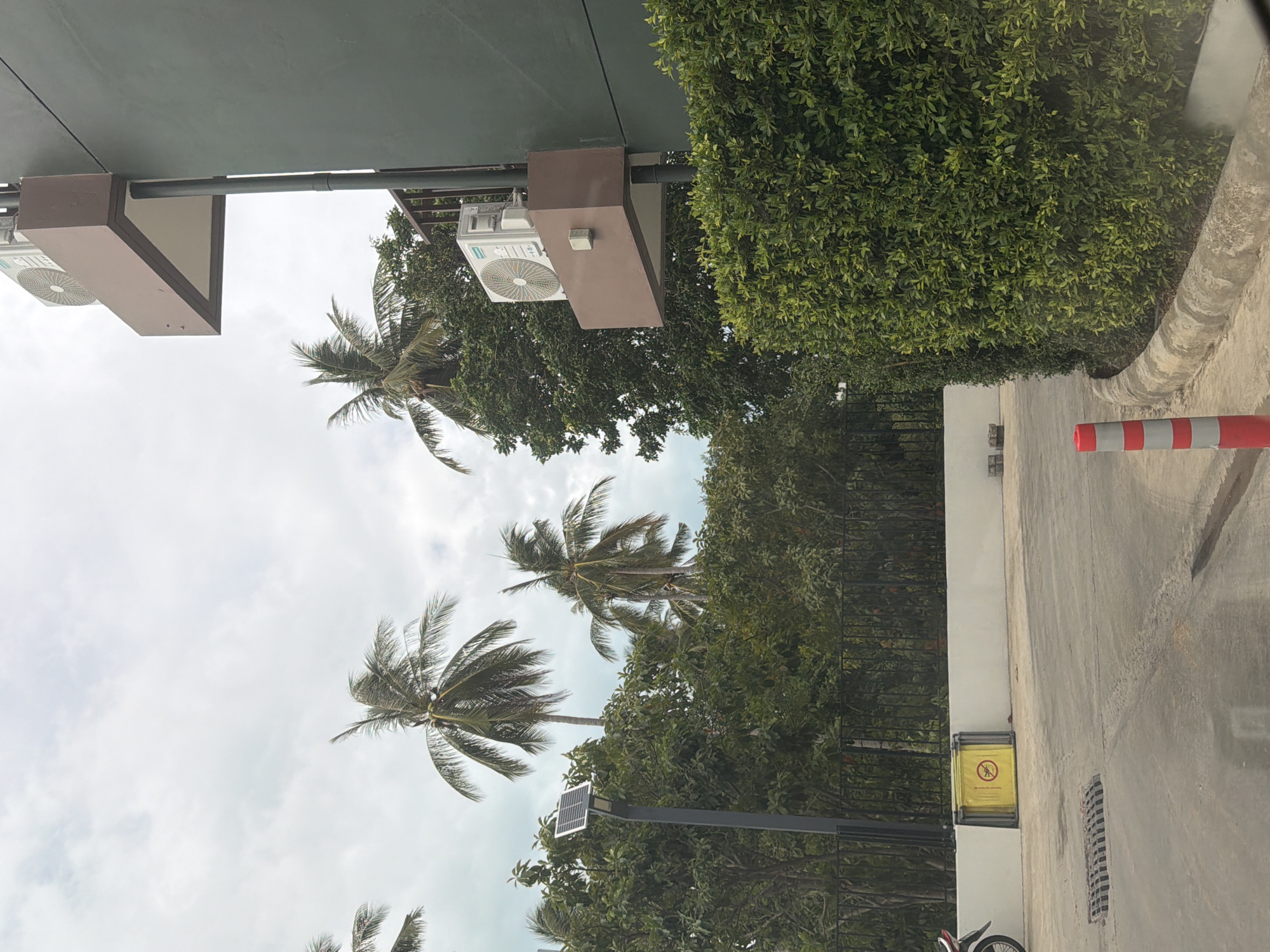 Rooster, scooters, and street life on a cloudy Ko Samui morning