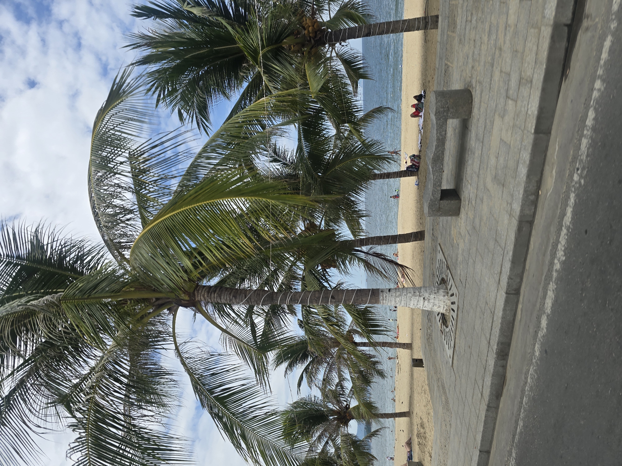 Nha Trang's palm-lined beachfront promenade on a busy day