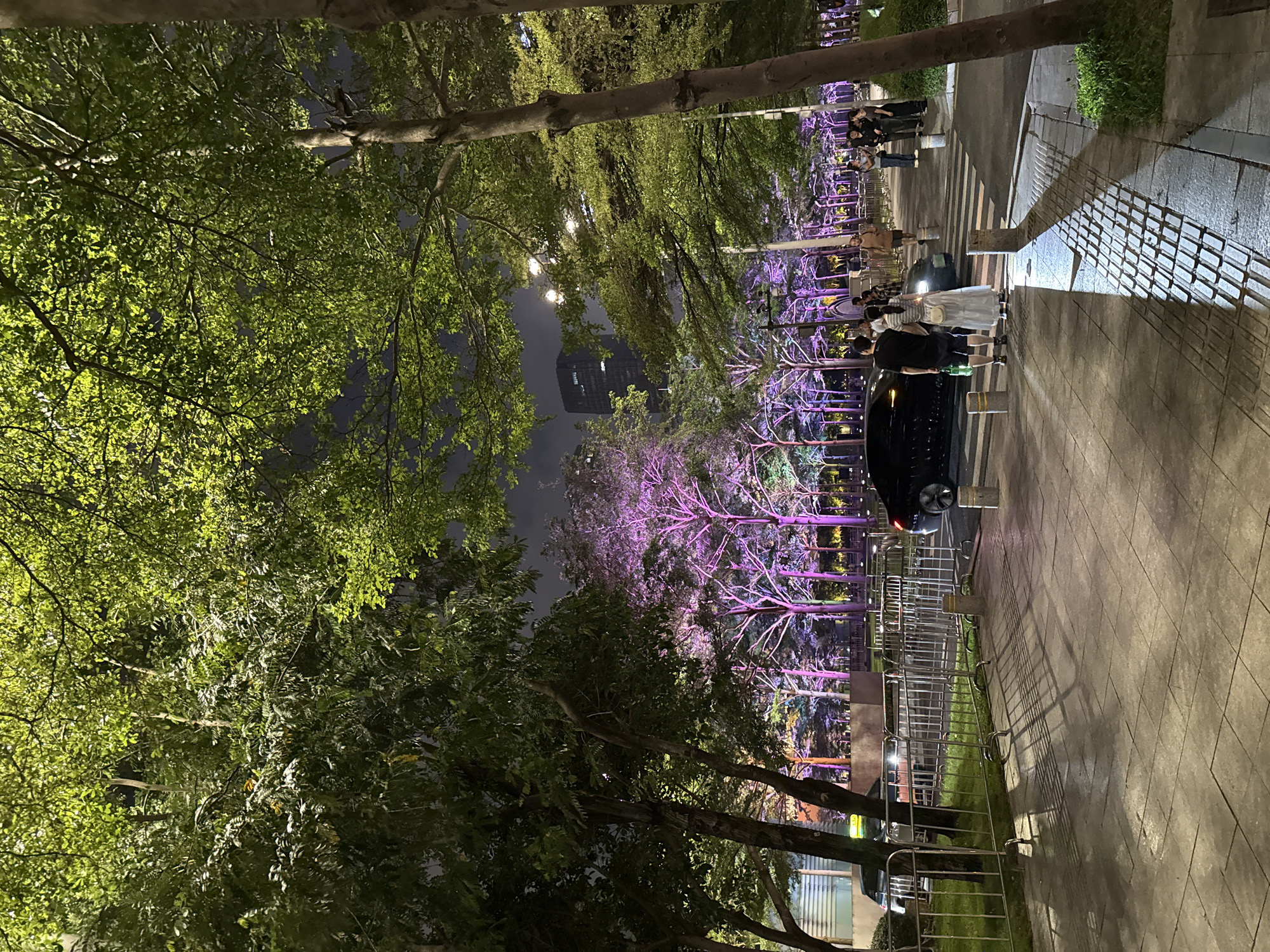 Nighttime street scenes documented in Futian District, Shenzhen
