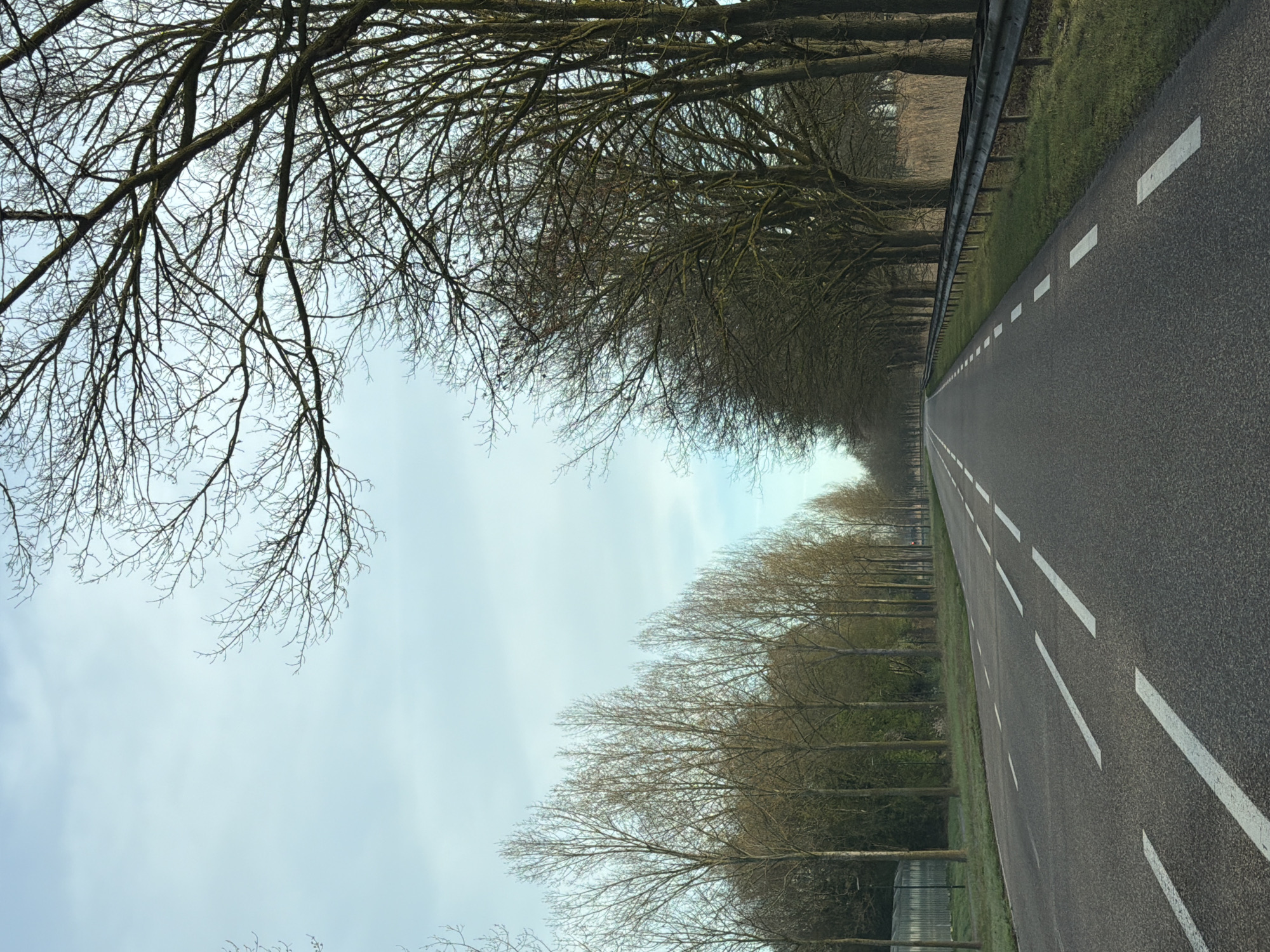 Morning road scene documented in Helmond, Netherlands