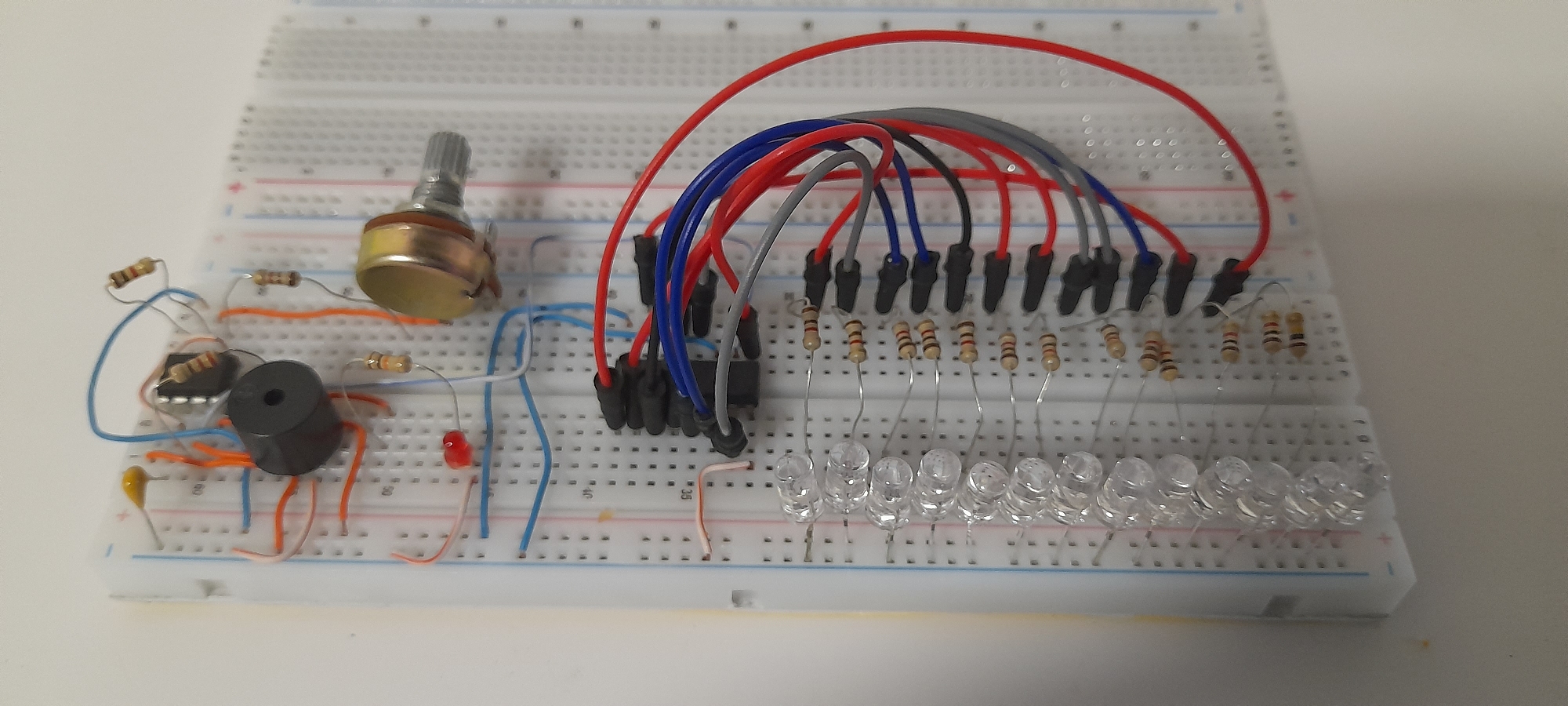 Breadboard project and petunias in Uman