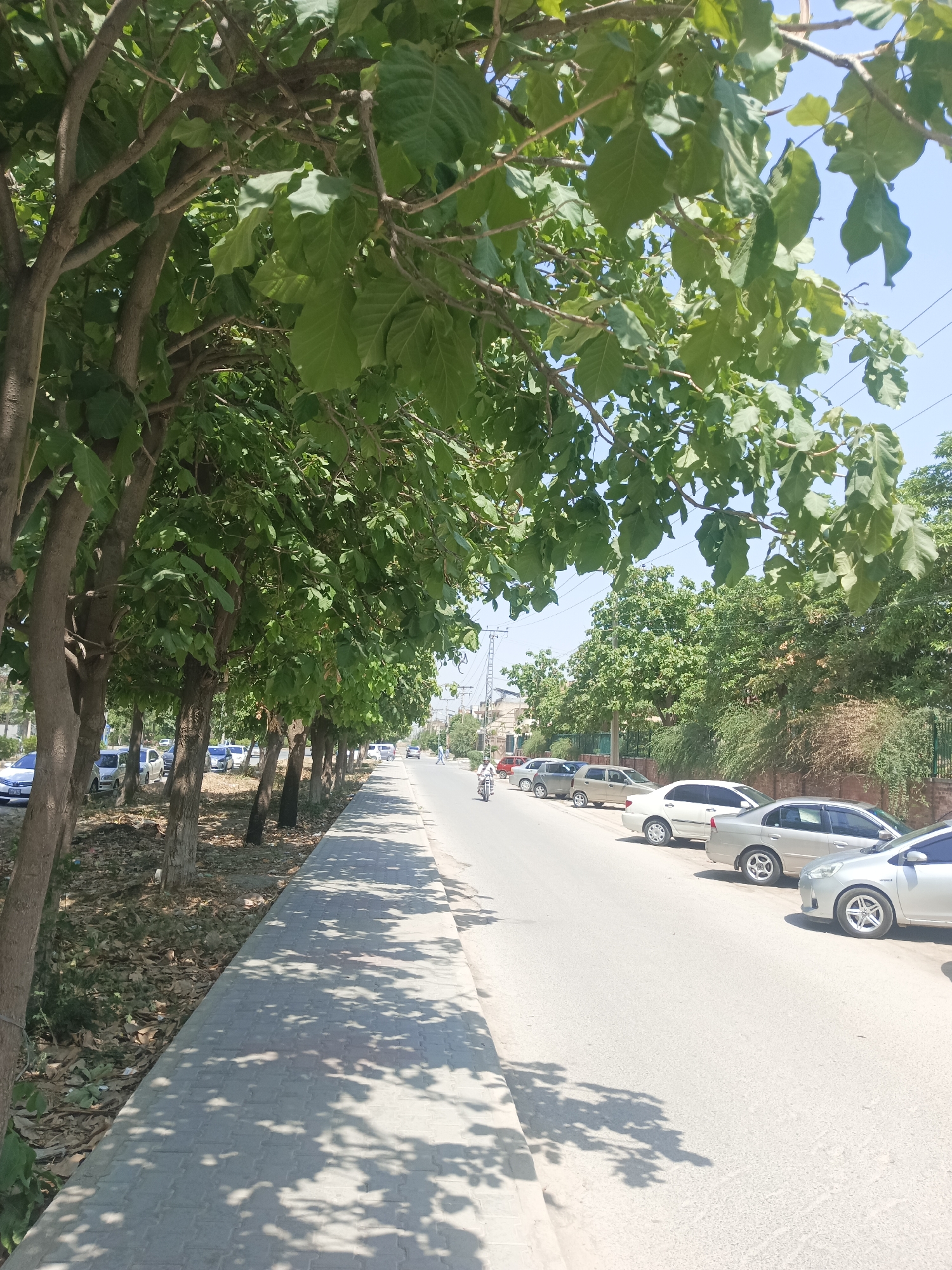University campus life documented during morning hours in Peshawar