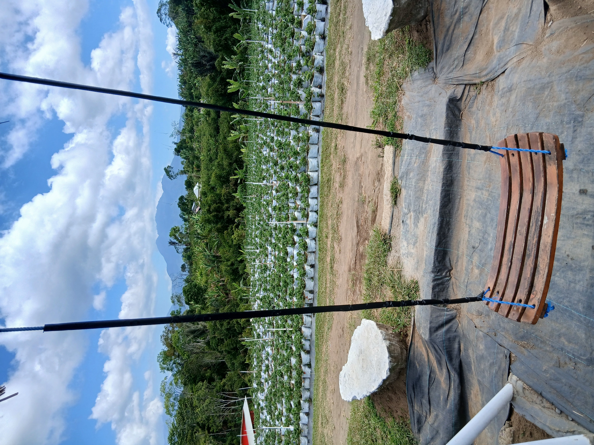 Flower field attraction in Kintamani with swings and garden sculptures