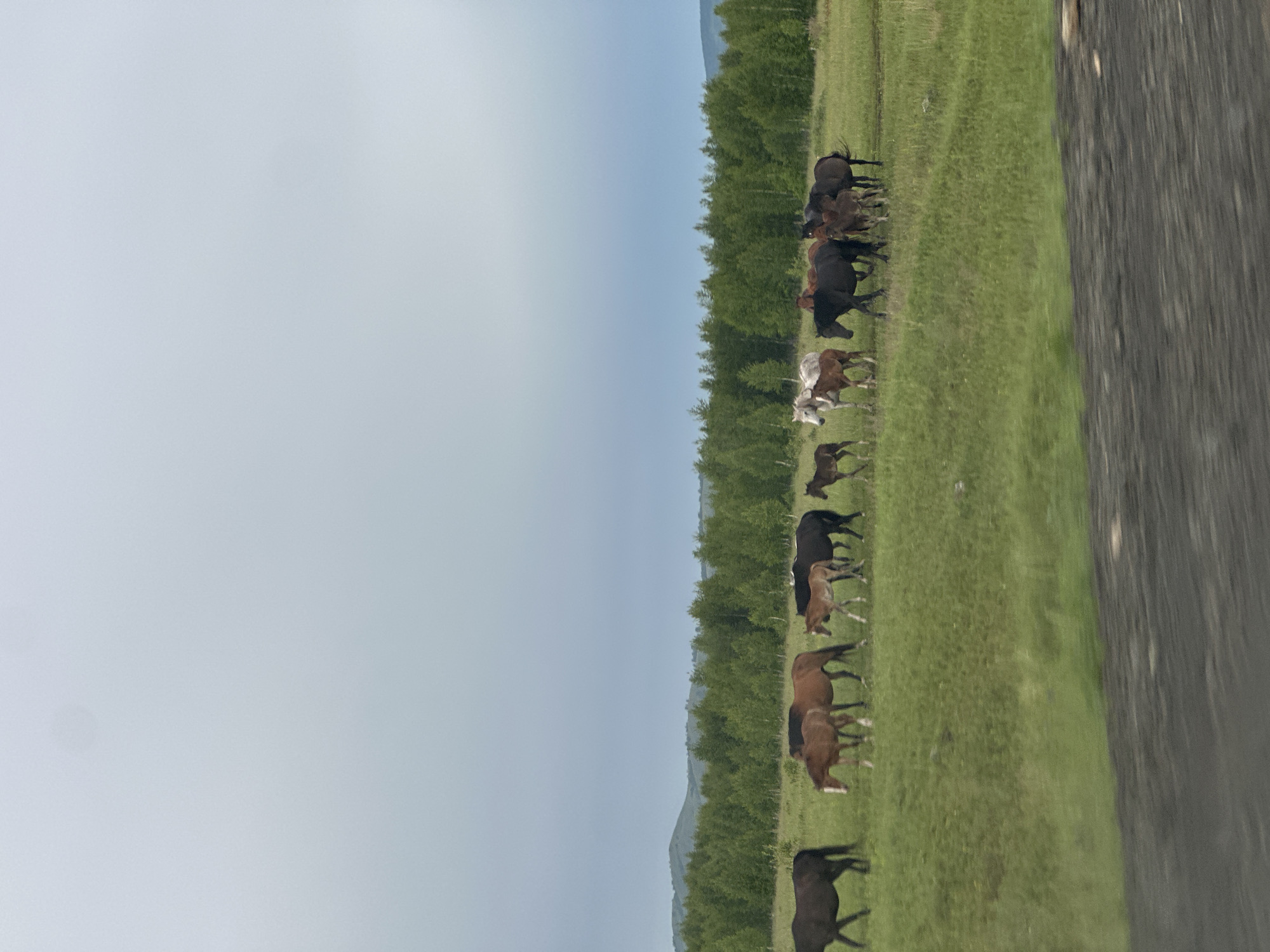 Rural countryside drive captures horses, church, rainy roads