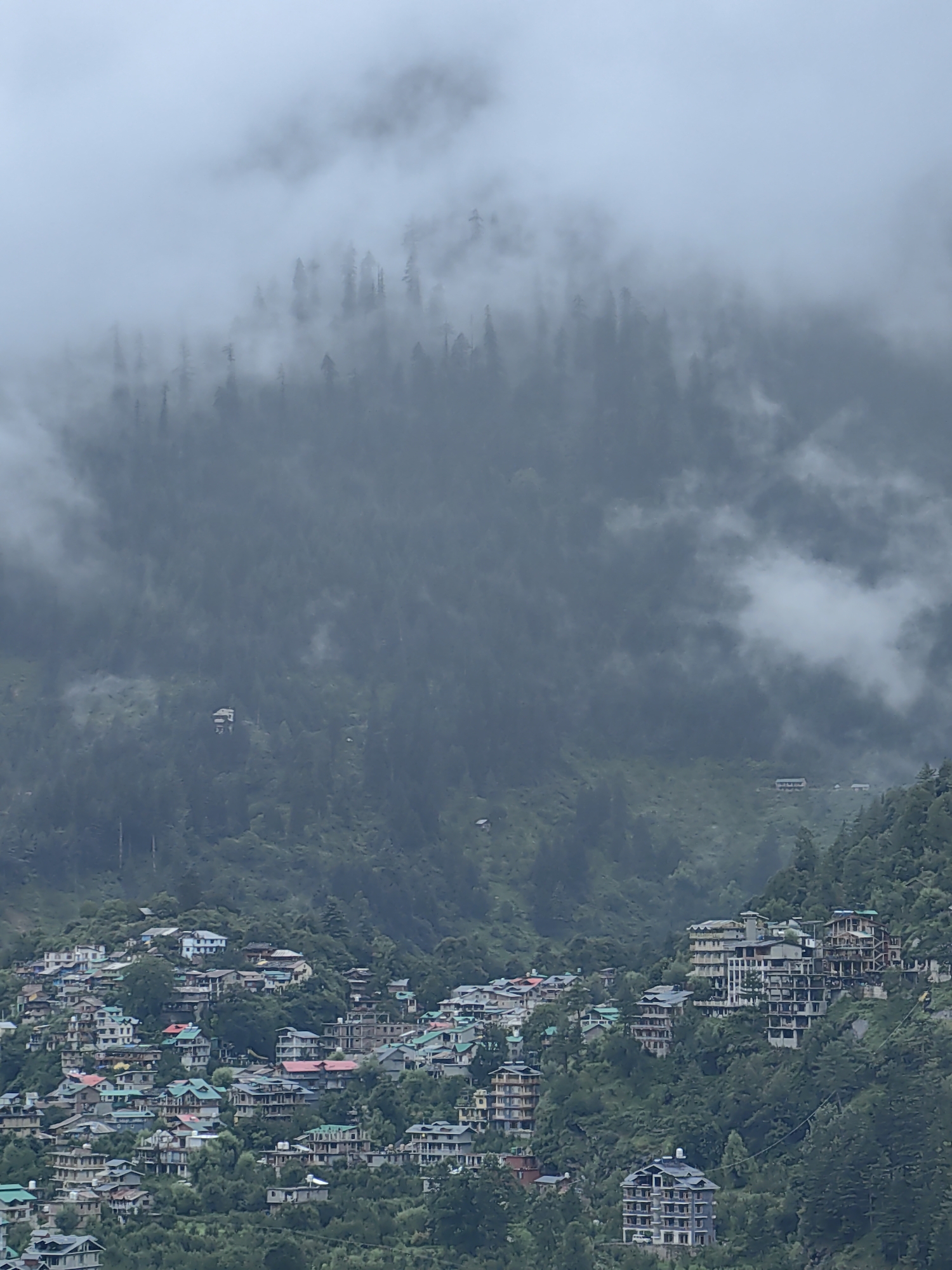 Misty morning in Vashisht, mountains fogged in, village life continuing