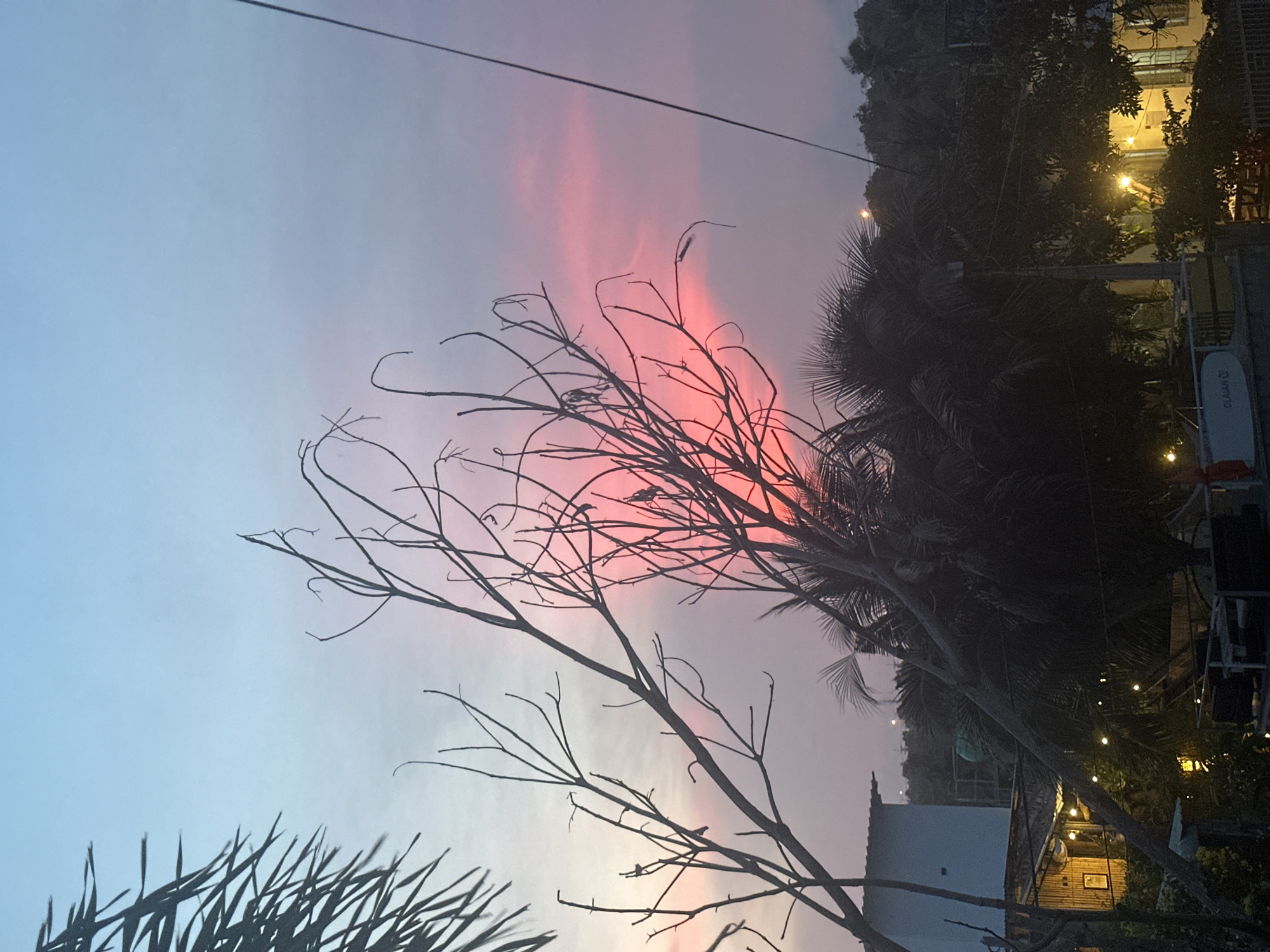 Tropical sunset framed by palm silhouettes at dusk