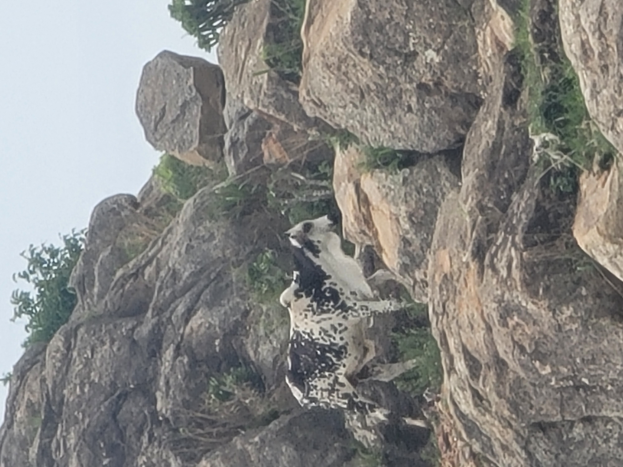 Everyday life and nature around a rocky Nigerian hillside village
