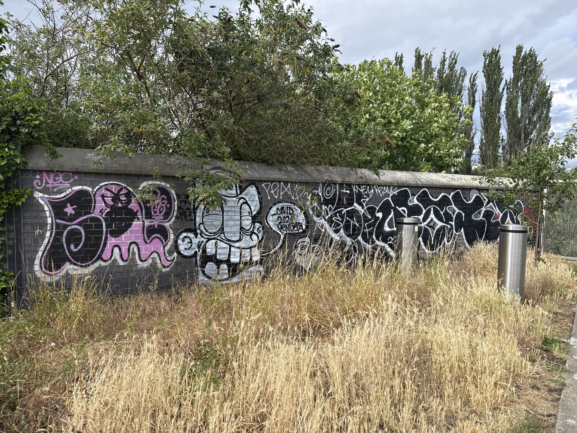 London park area documented by witnesses during afternoon hours
