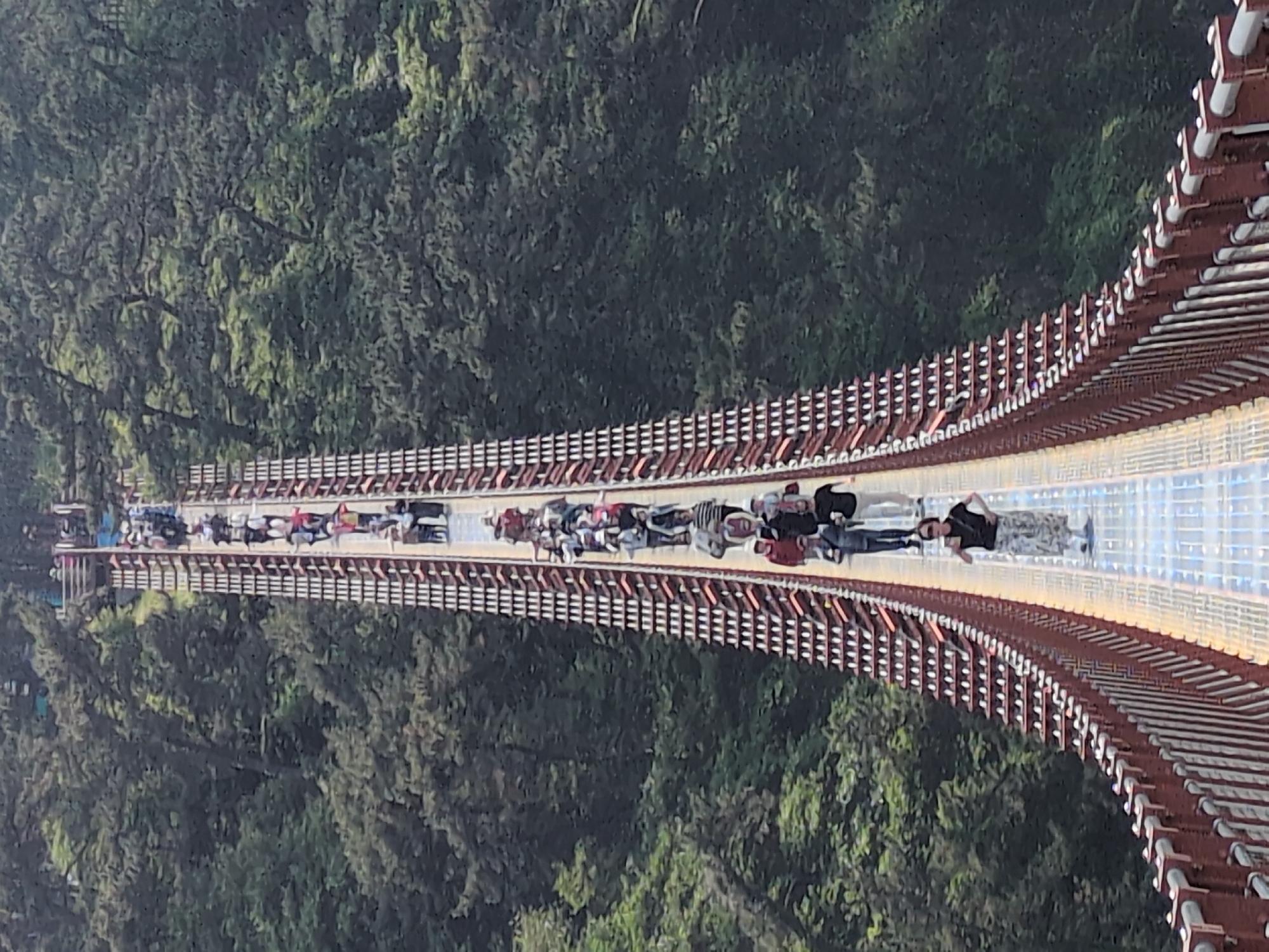 Morning tour captures Ulsan's bridges, beaches, and urban landscapes