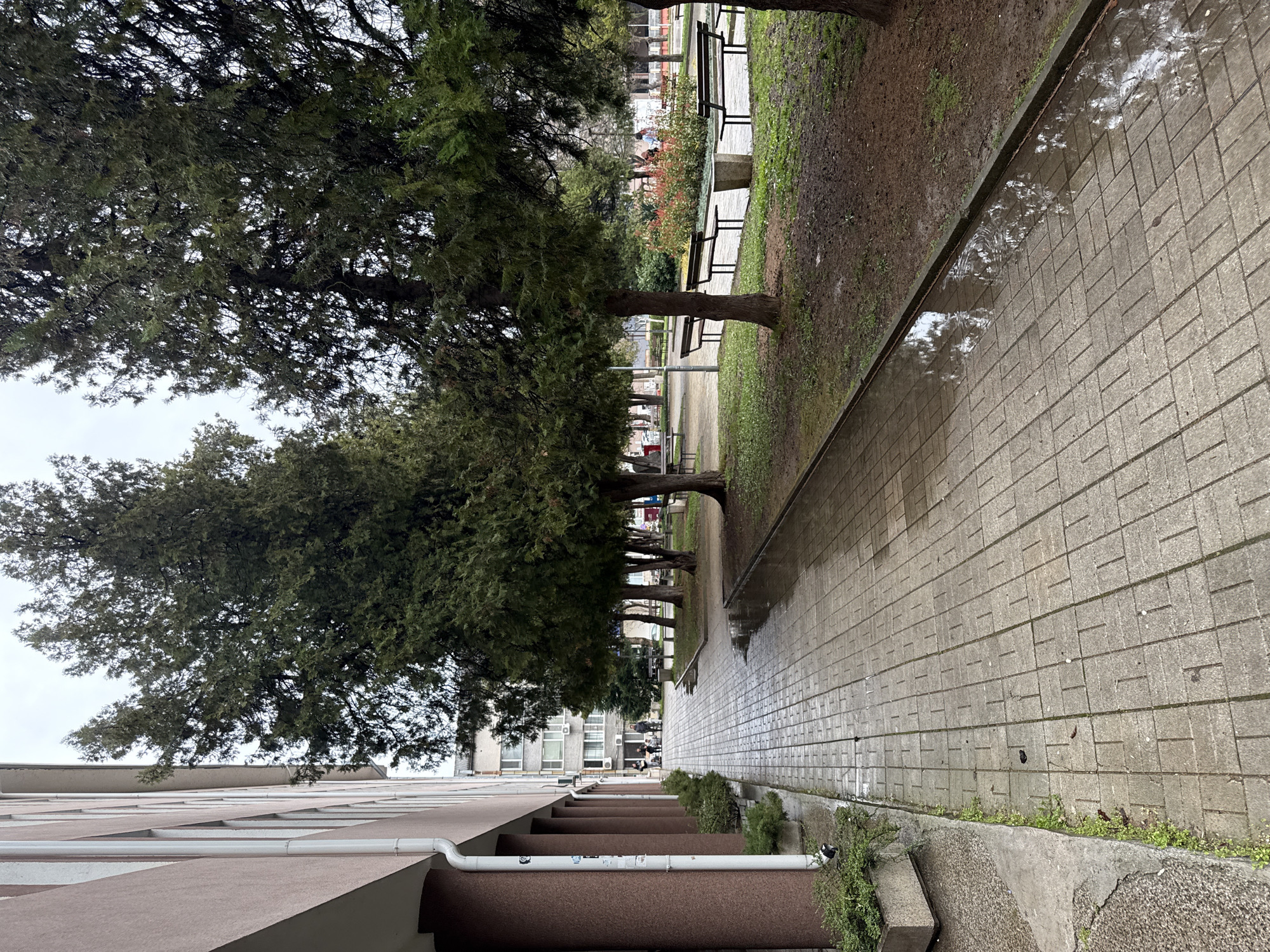 Street scenes captured in Montana, Bulgaria public areas