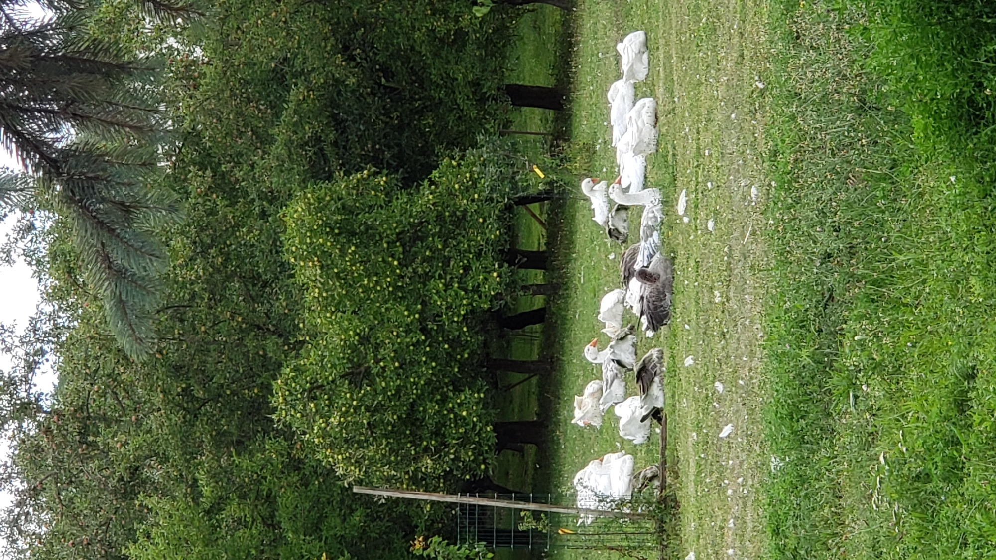 Prešov, Slovakia