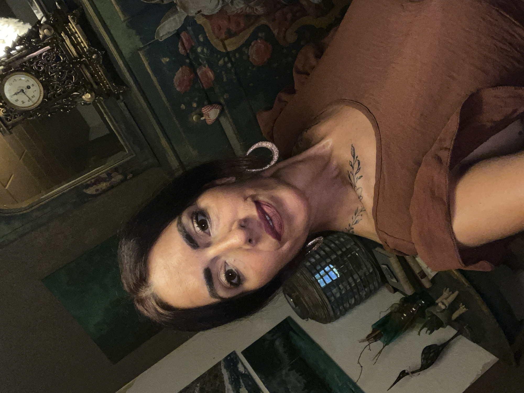 Casual home moments in Konz with a Sphynx cat