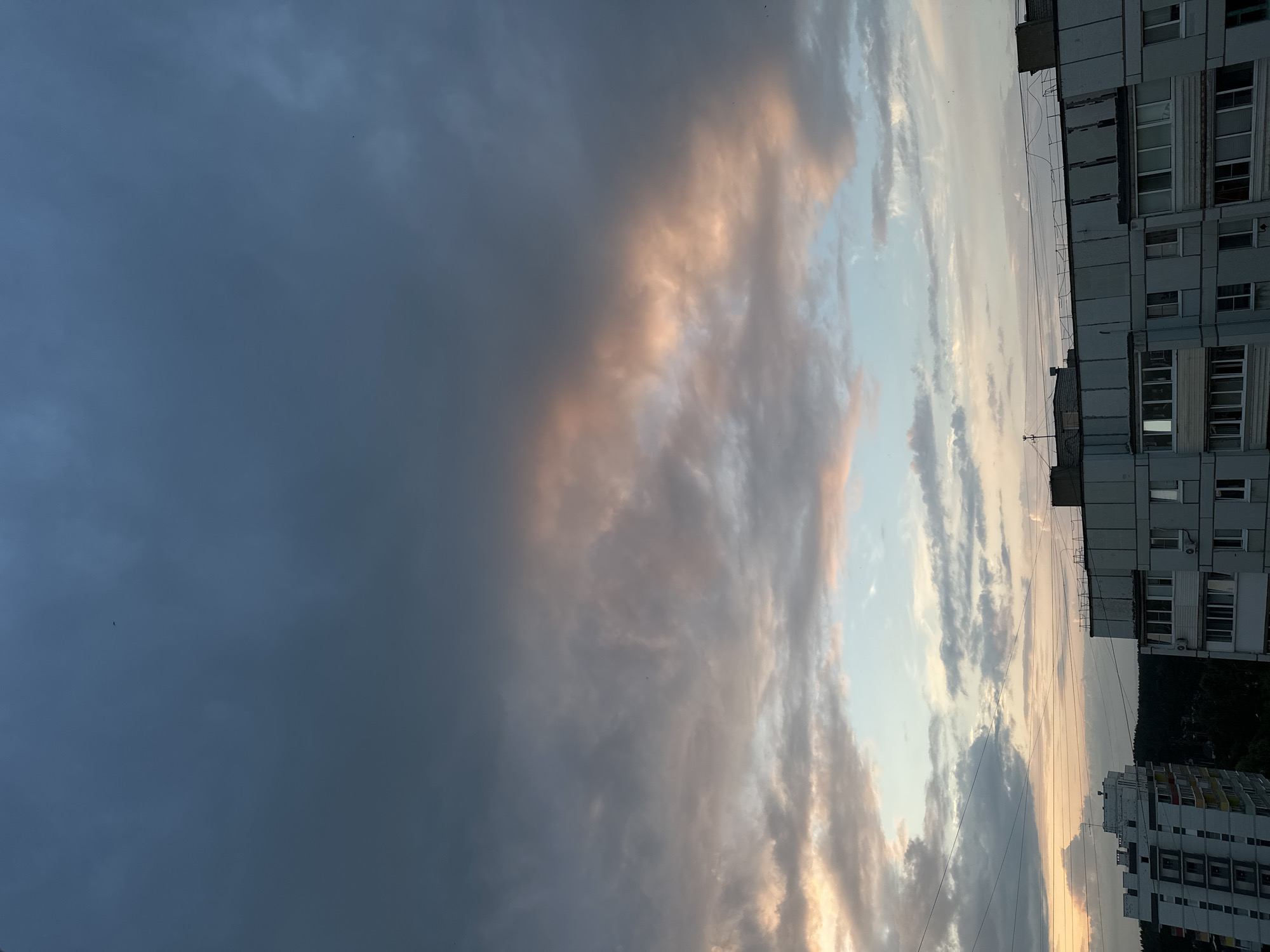 Dusk views, a Persian cat, and a glowing balloon in Chaikovsky