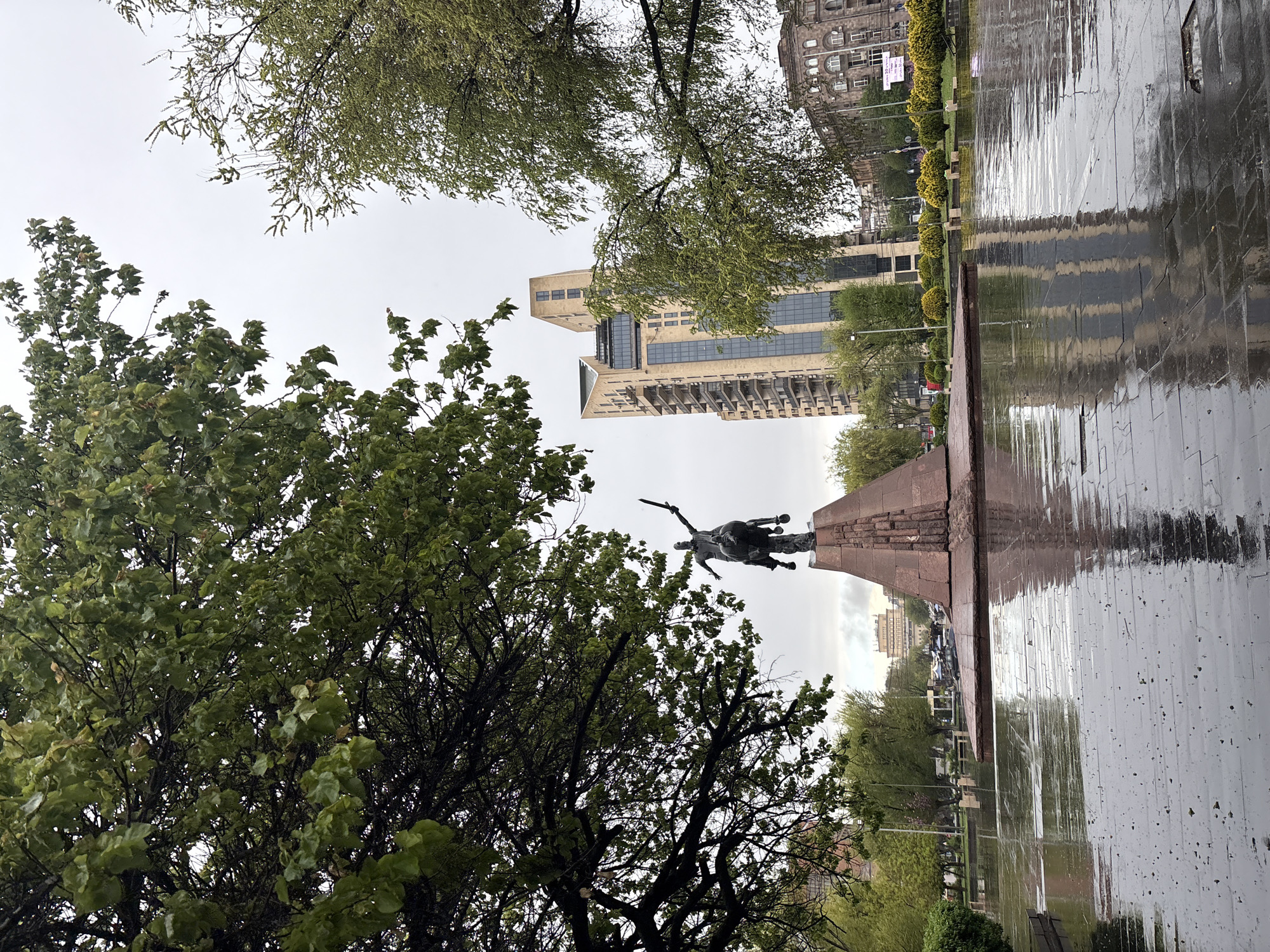 Cat befriends visitor at Yerevan monument during rainy morning