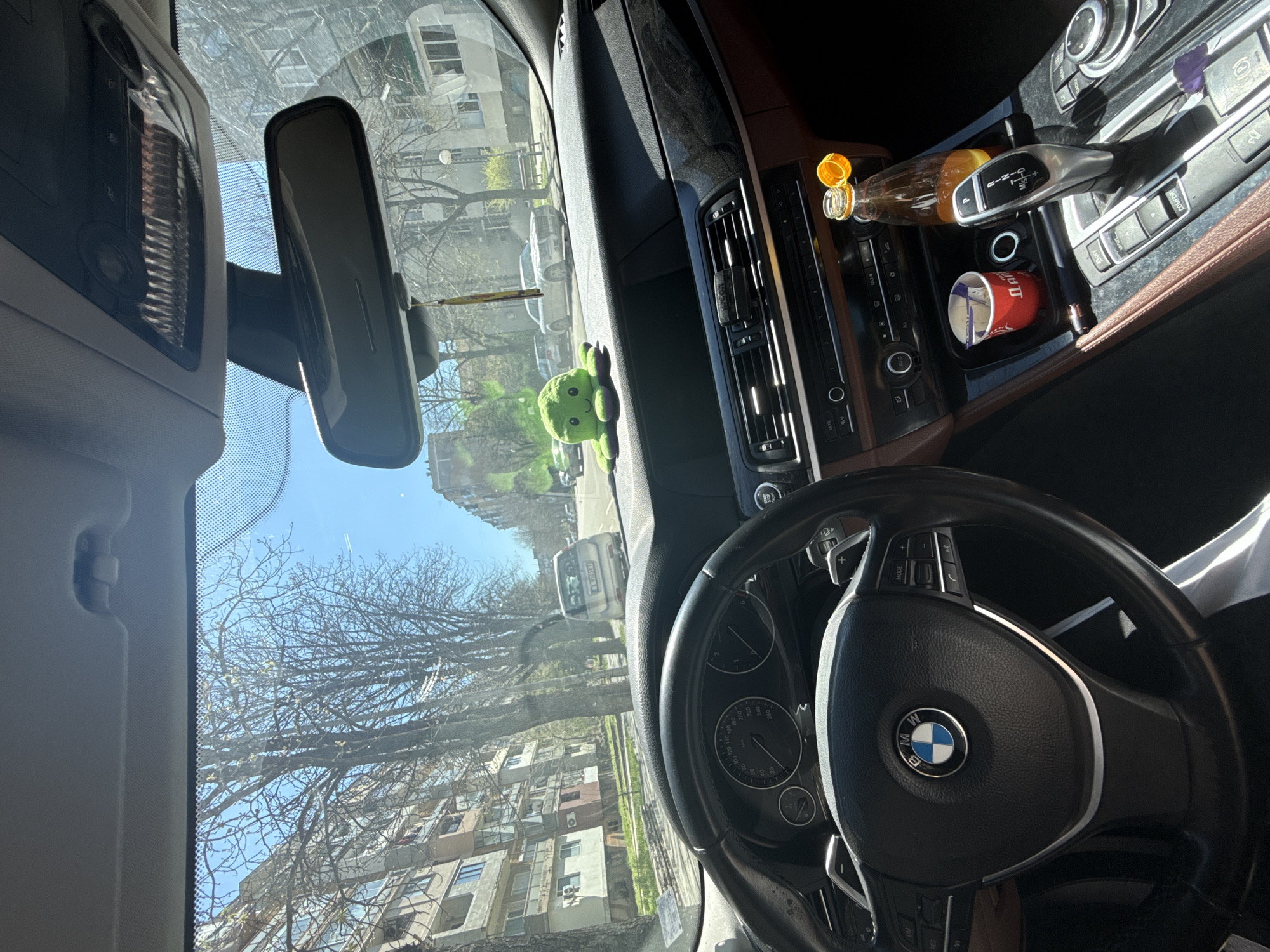 Green octopus toy spotted on BMW dashboard in Bulgaria