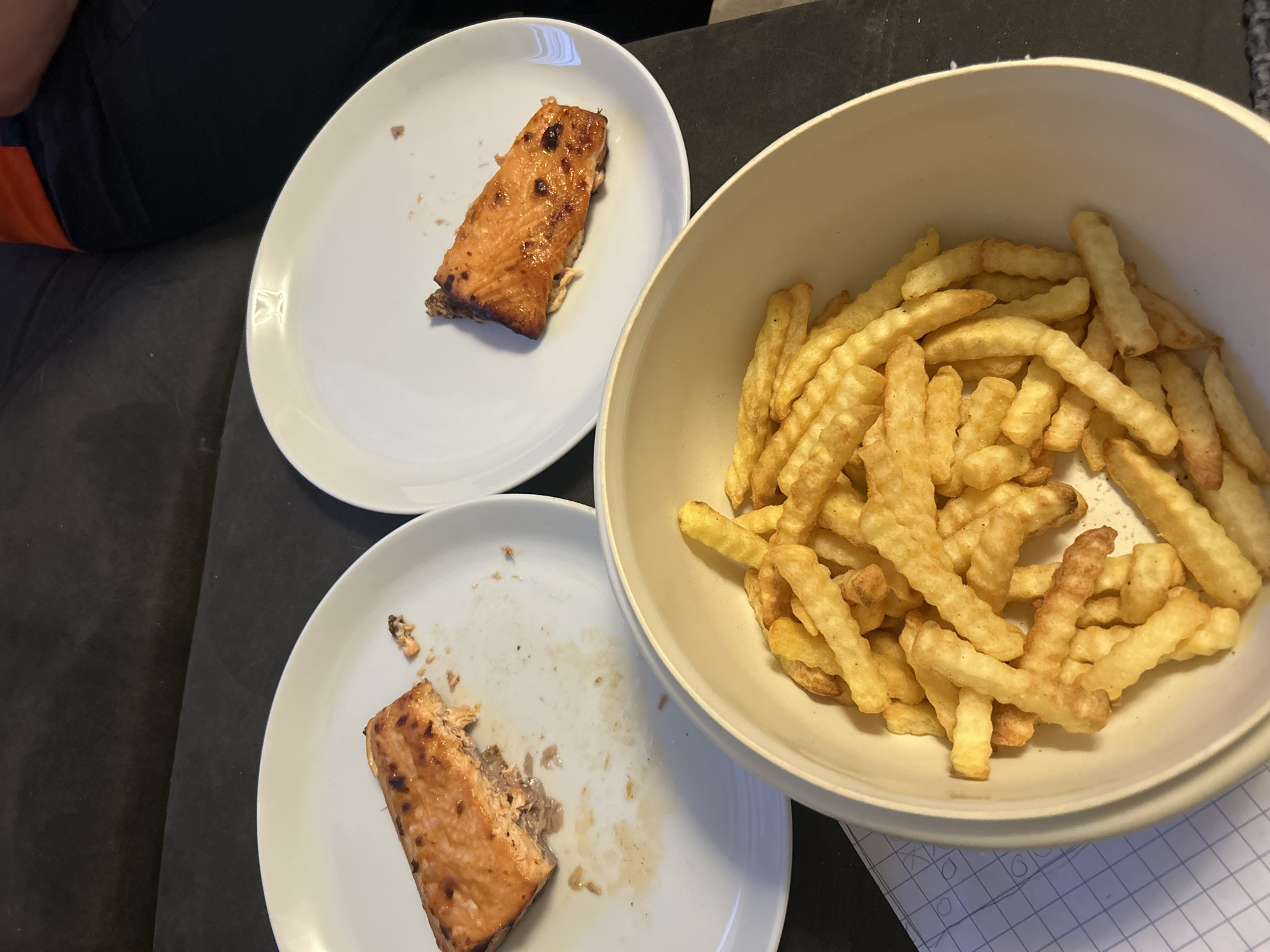 Salmon dinner and LEGO Technic build on a Leiden evening