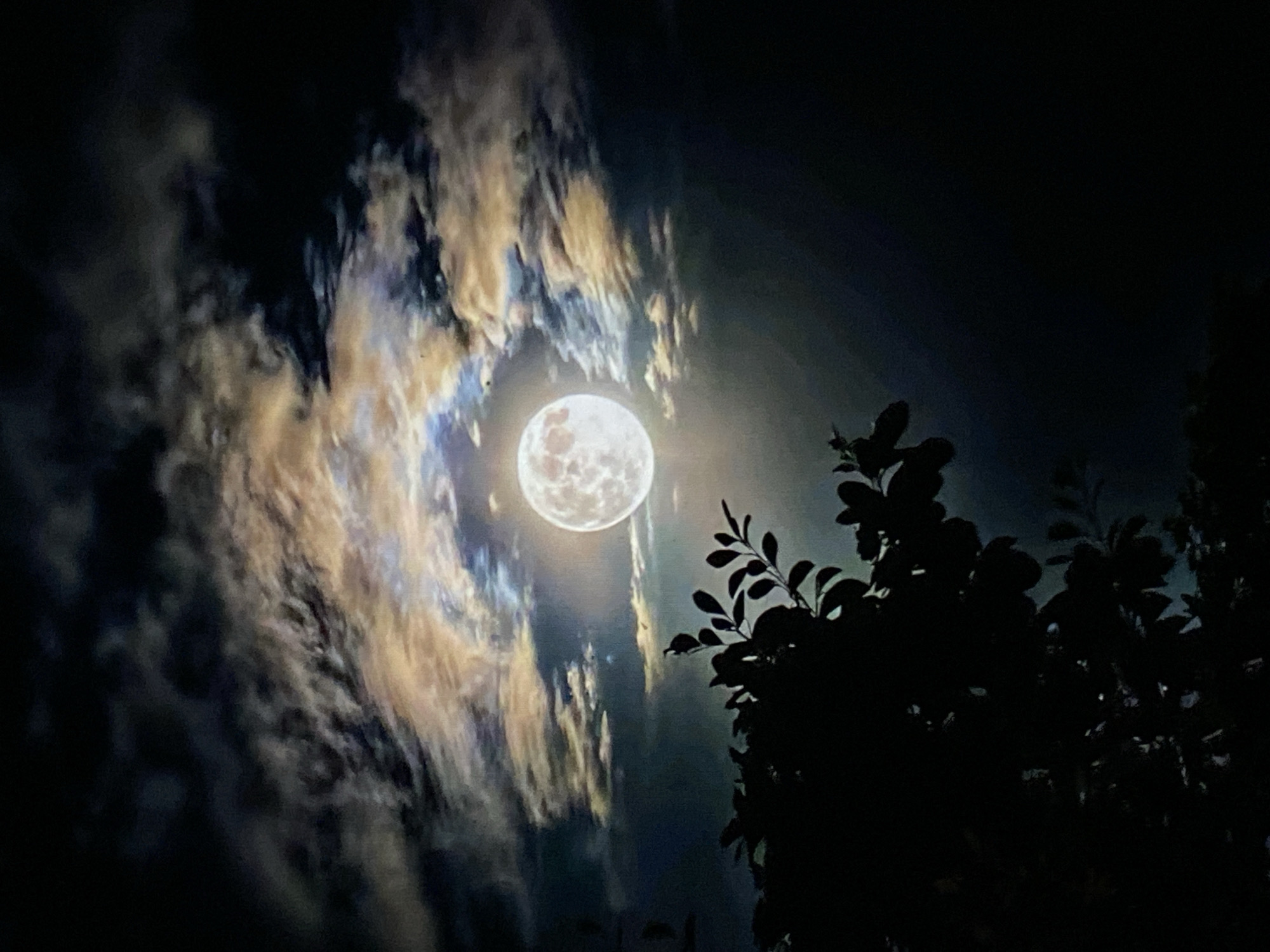 Moonlit clouds and a campfire on a pretty Venezuelan night