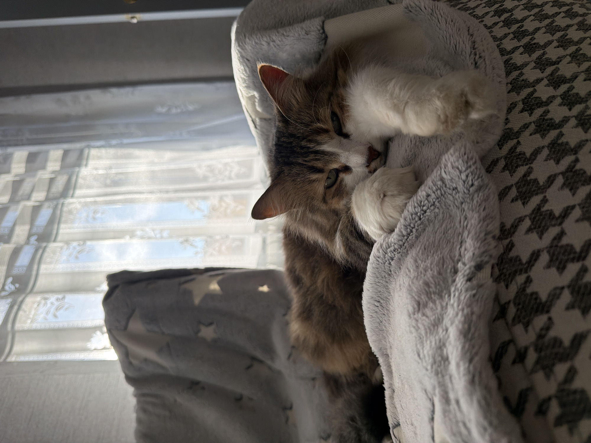 Quiet morning moments captured in Chaikovsky, Russia