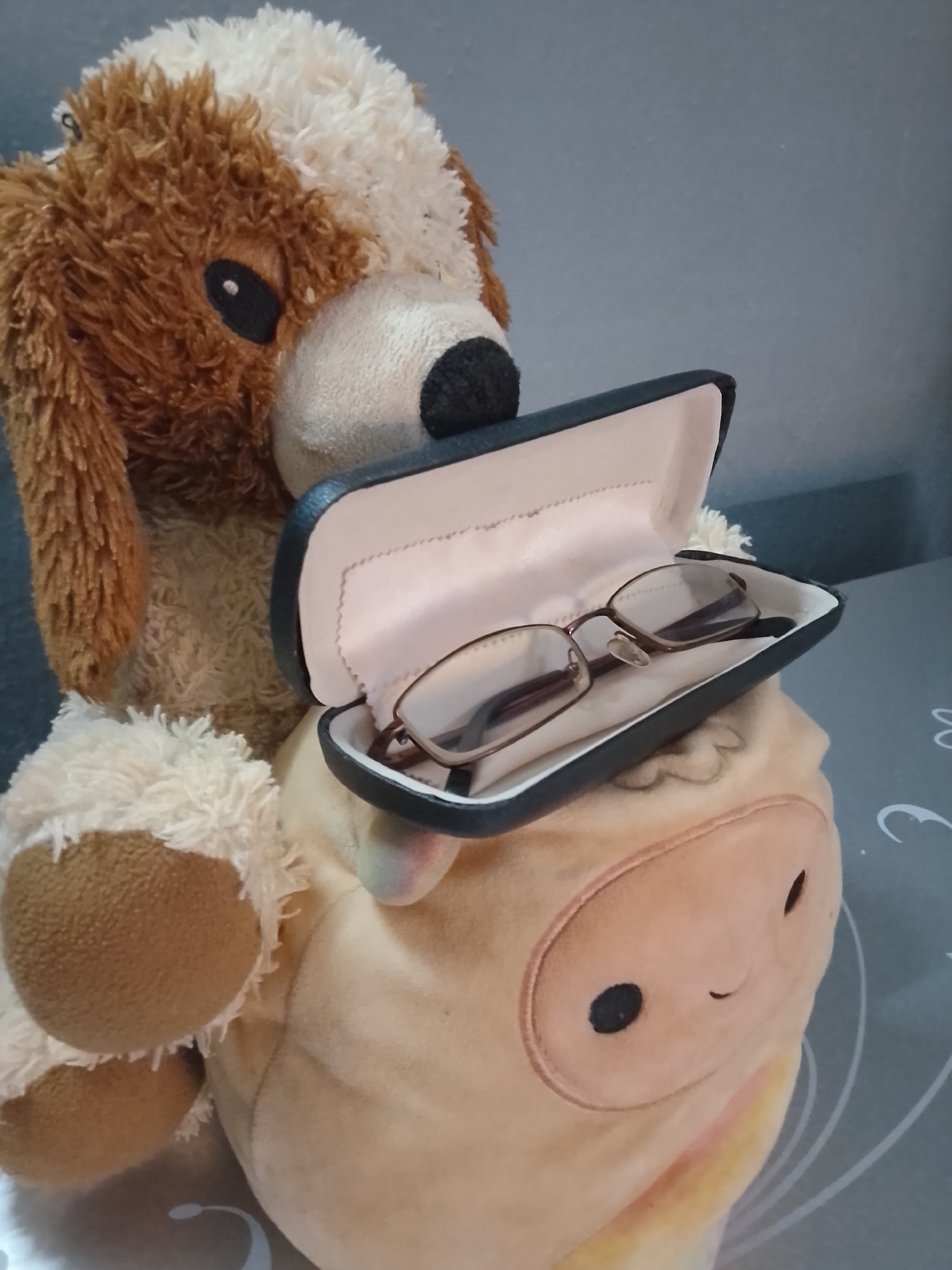Man photographs stuffed animals wearing eyeglasses in Nigeria