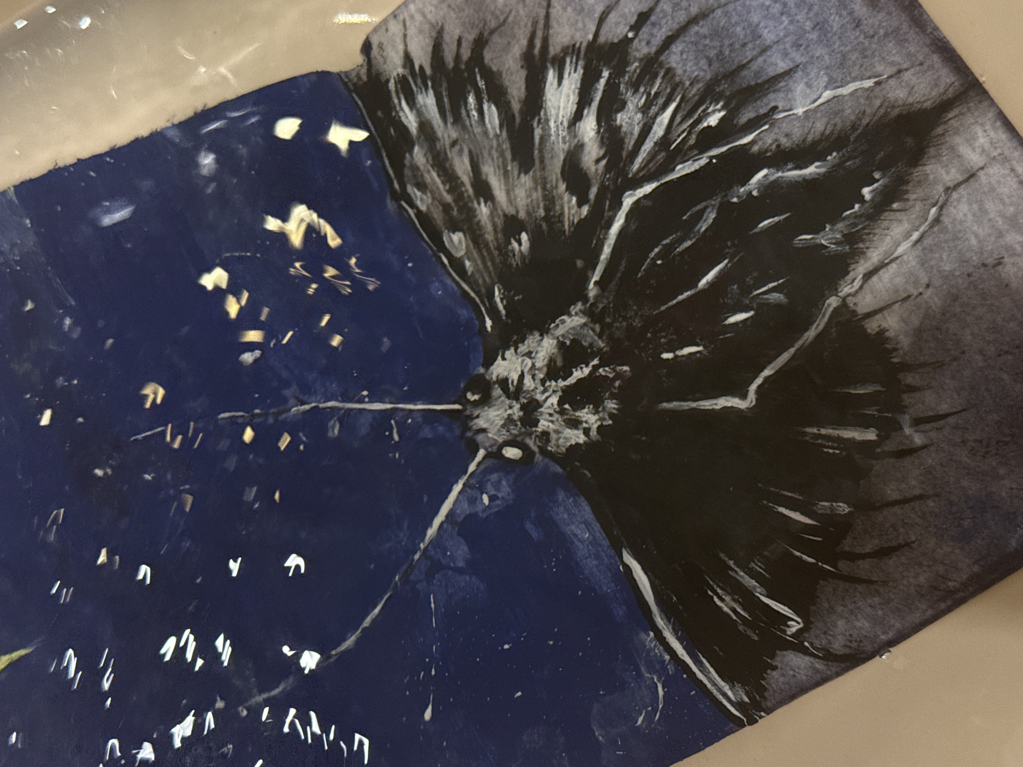Artist completes moth watercolor painting in Saint Petersburg sketchbook