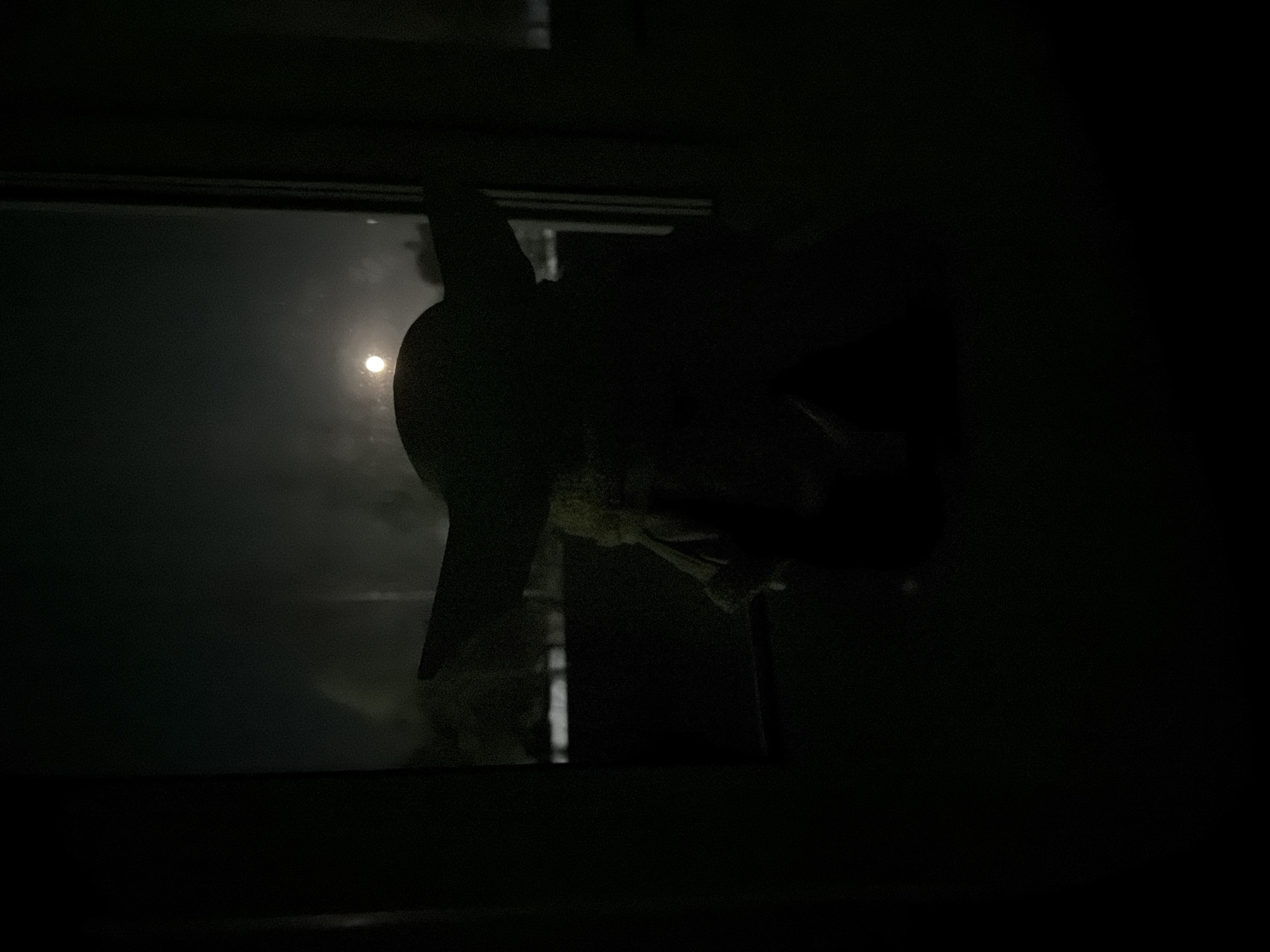 Propeller object photographed in dark conditions in Dubovaya, Russia