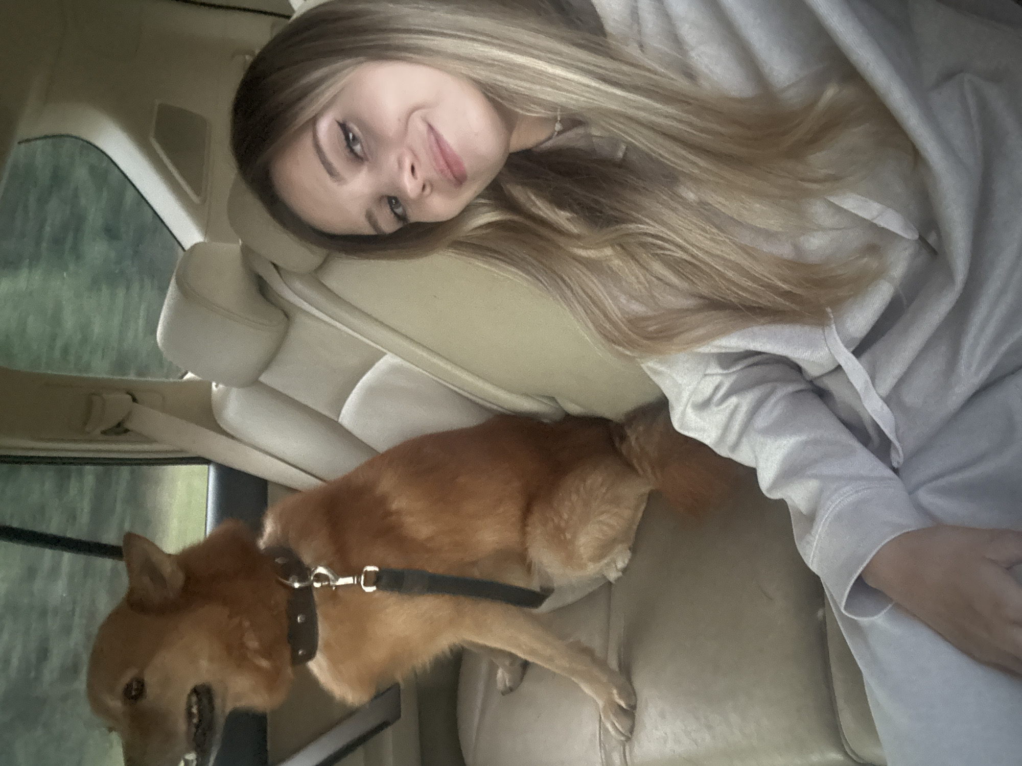 Road trip vibes with a reddish-brown dog in the back seat