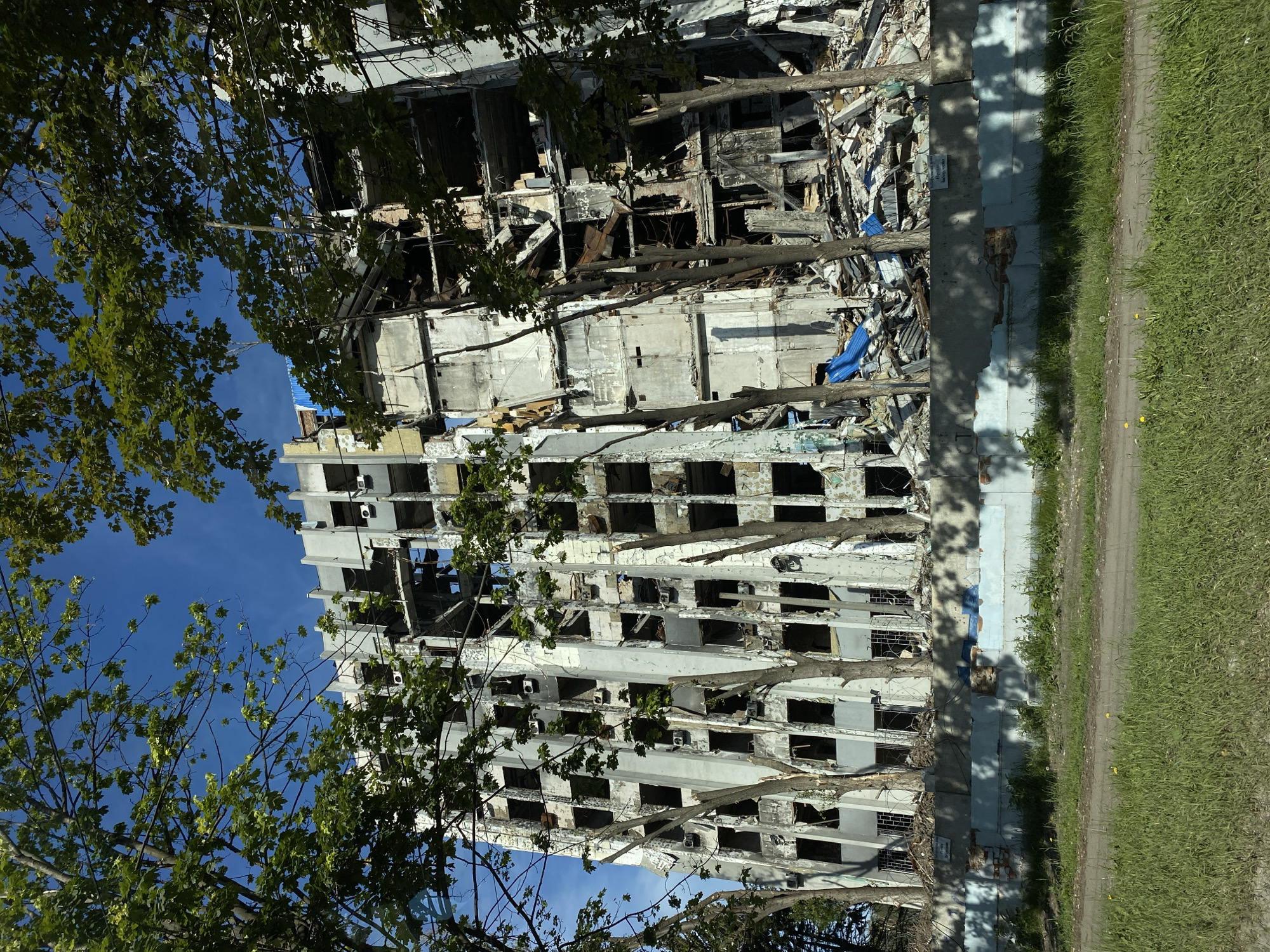 Morning scenes capture waterway wildlife, traffic, damaged building