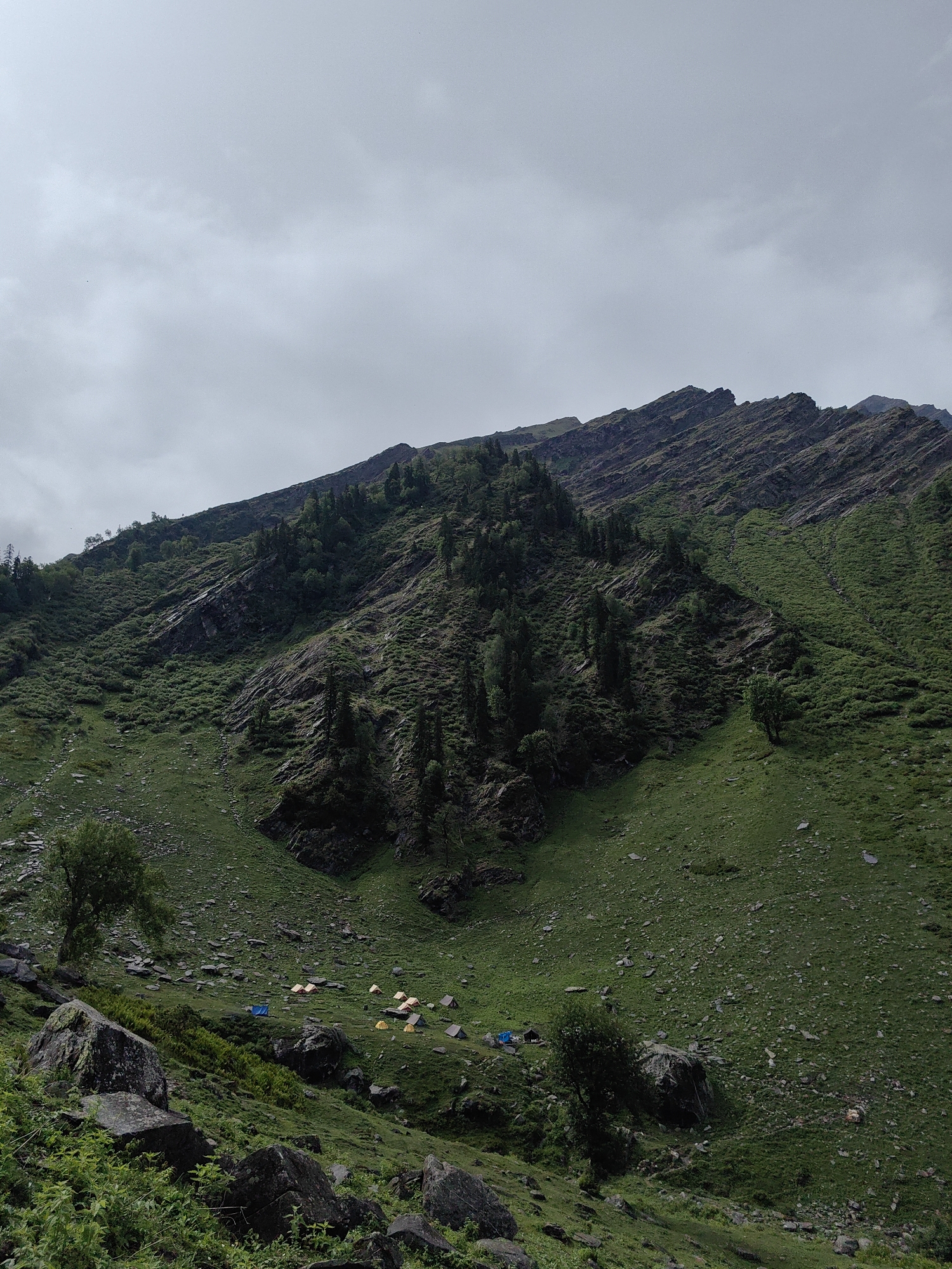 Trekking through Burwa's Himalayan slopes with buffalo and mountain views
