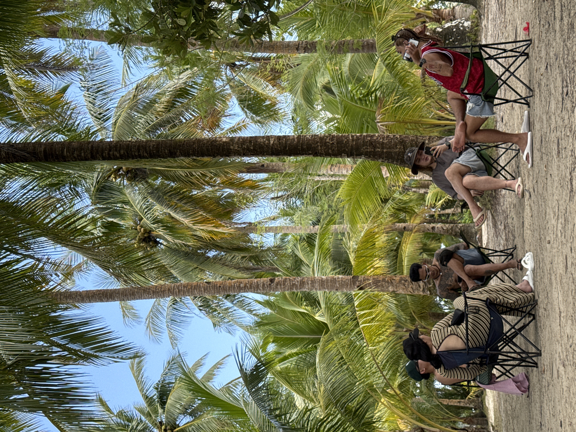 Four people gather in camping chairs among coconut palms in Dapa