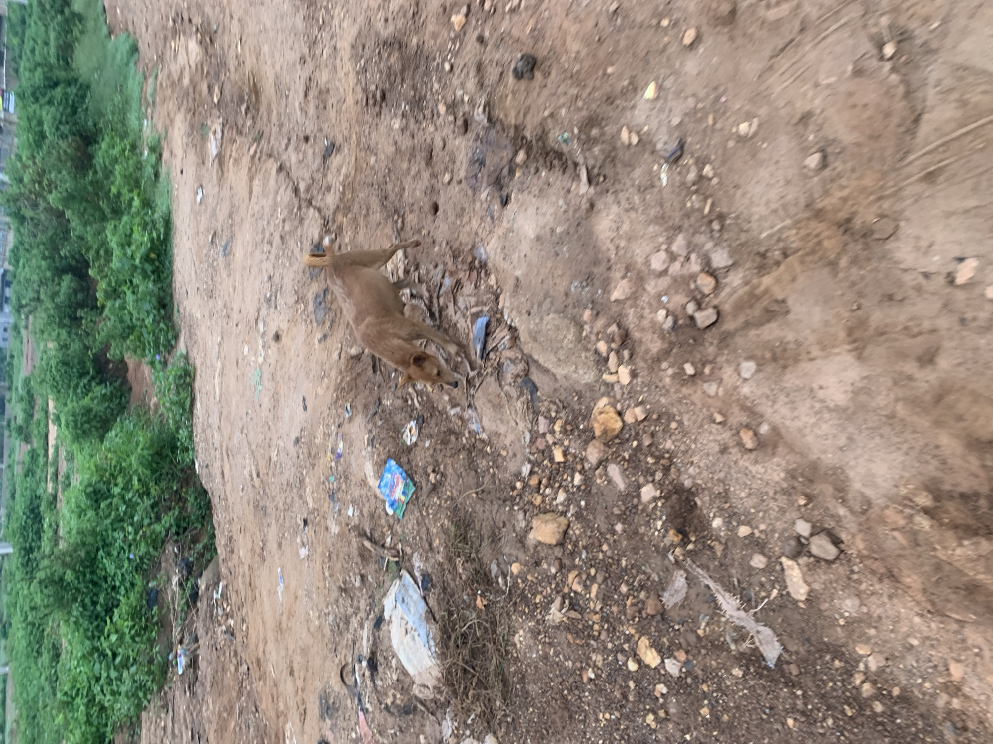 Rural area daily life documented over 90 minutes