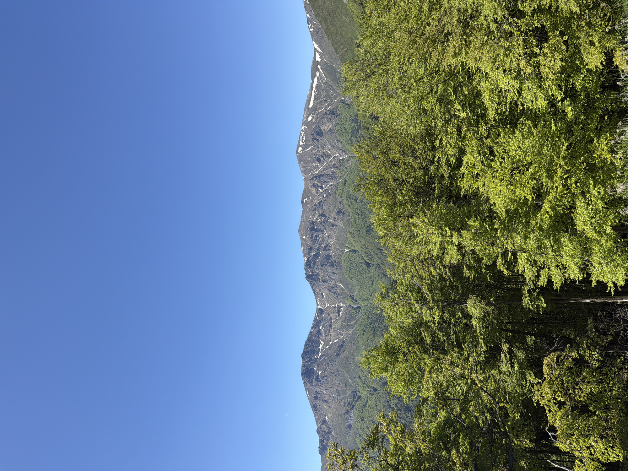 Hiker documents scenic mountain trek through Stokite, Bulgaria