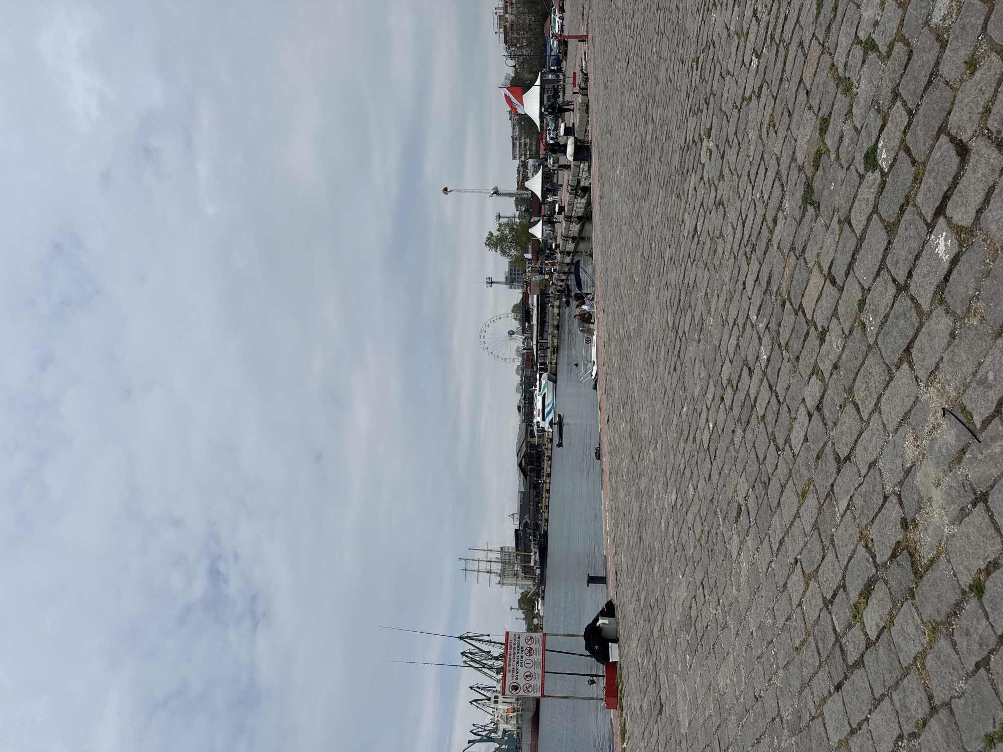 Ginger cats lounge on benches along Varna waterfront promenade