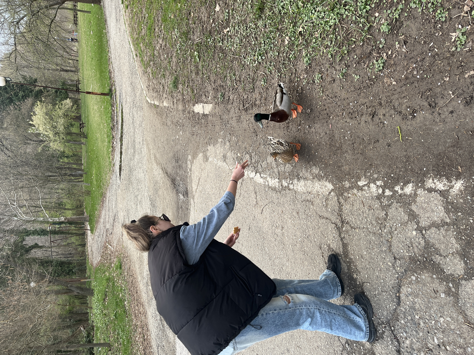 Woman feeds ducks in Bulgarian park