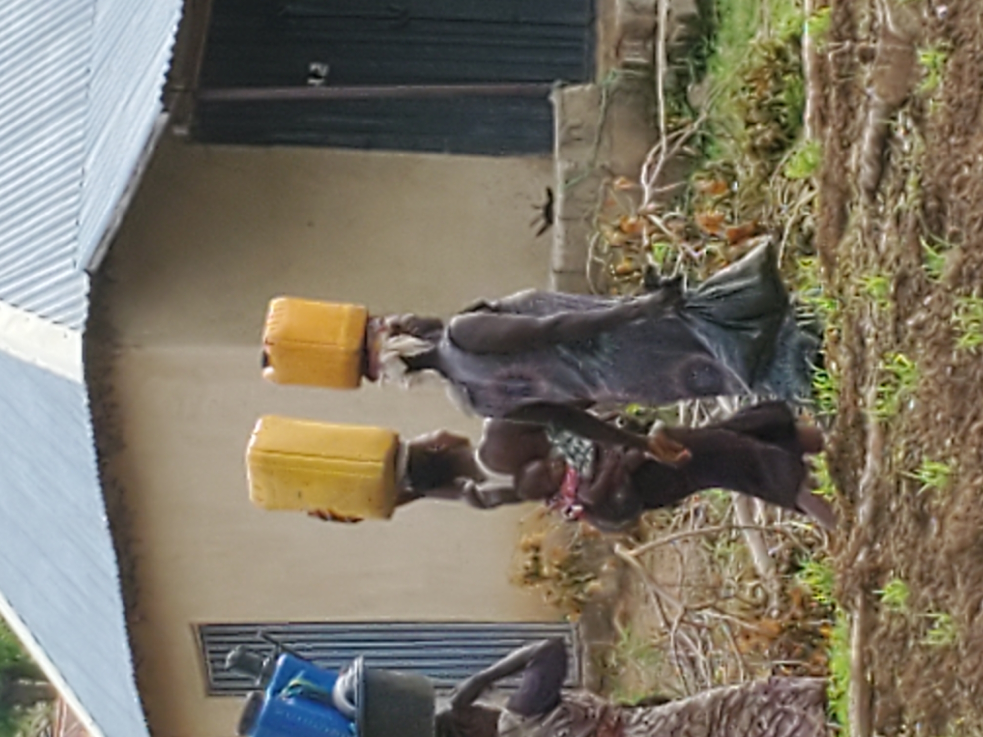 Rural African homestead morning: chores, animals, and faith