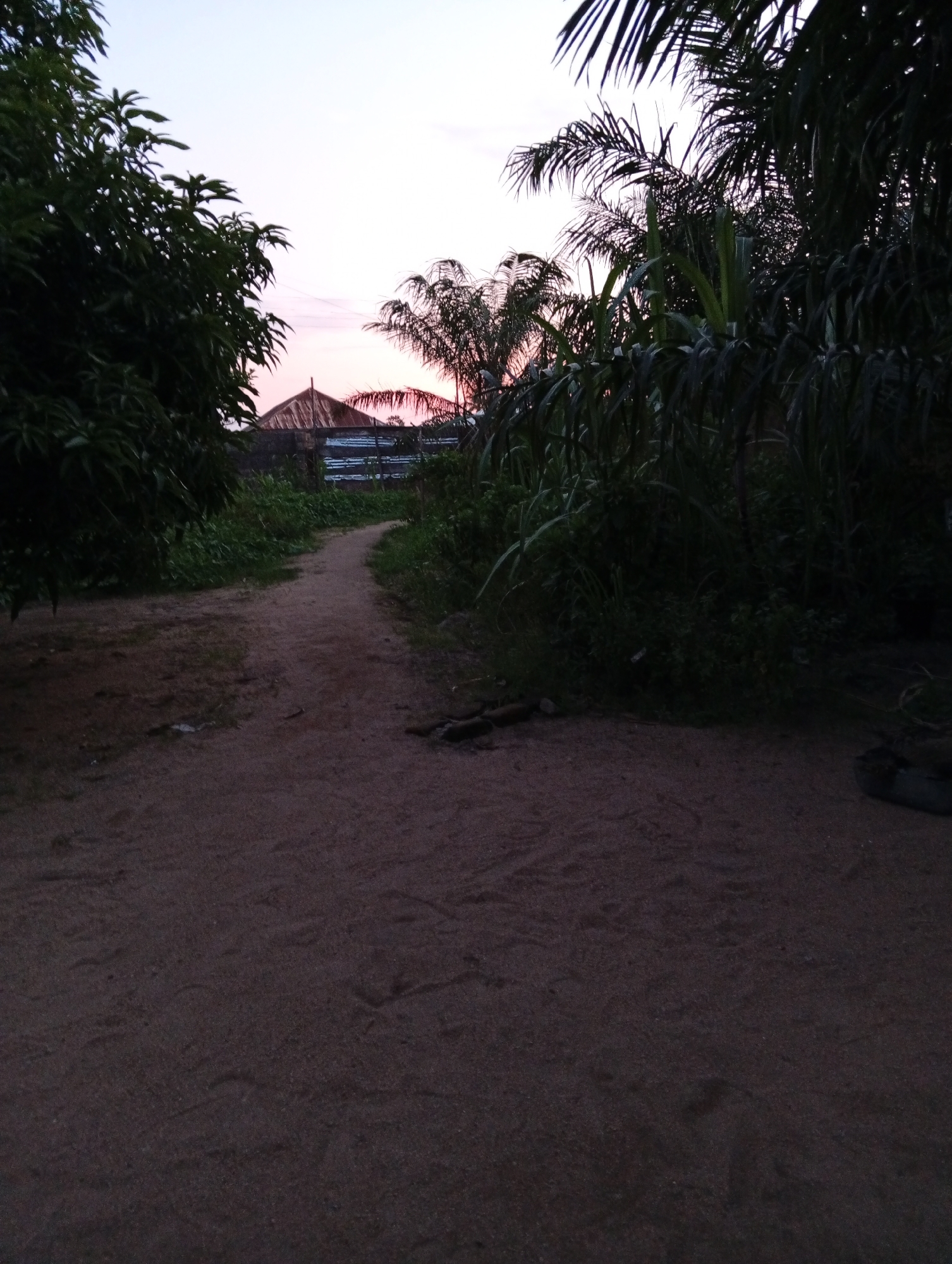 Street life and dusk light across Jalingo, Nigeria