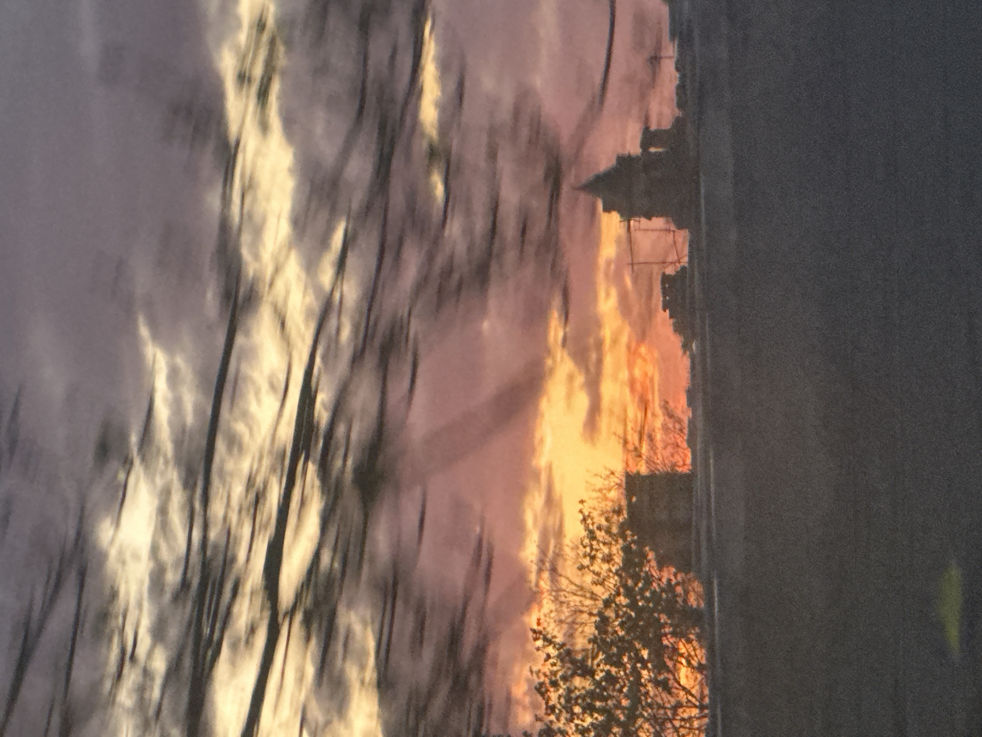 London commuter captures sunset selfies during evening journey