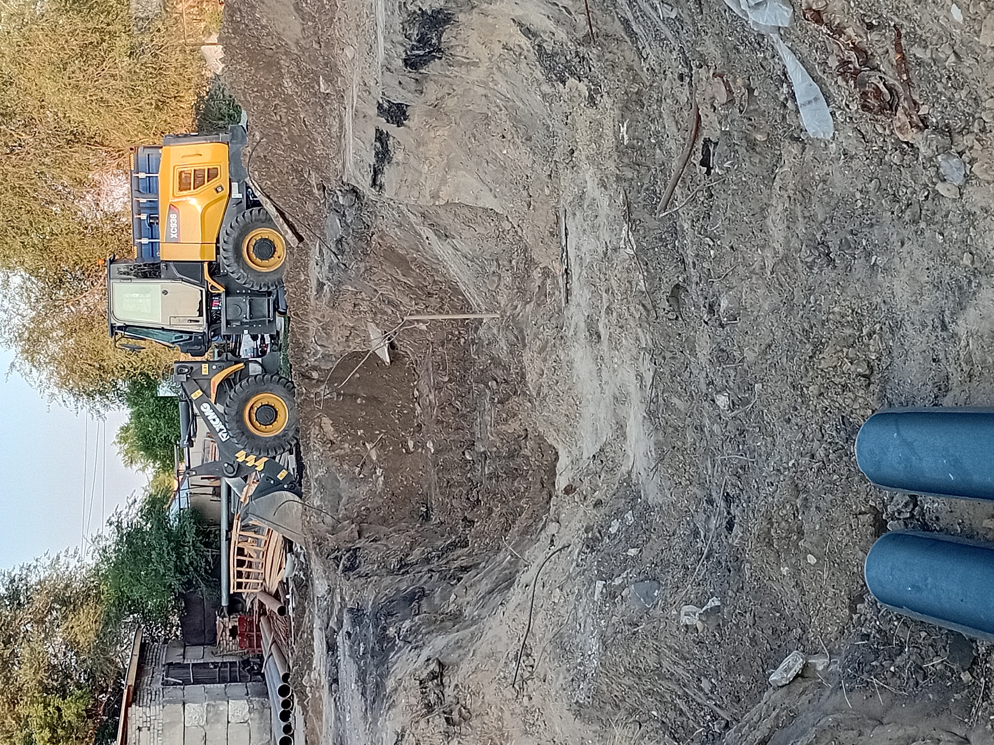 Heavy equipment and stray dogs at a Semey construction site